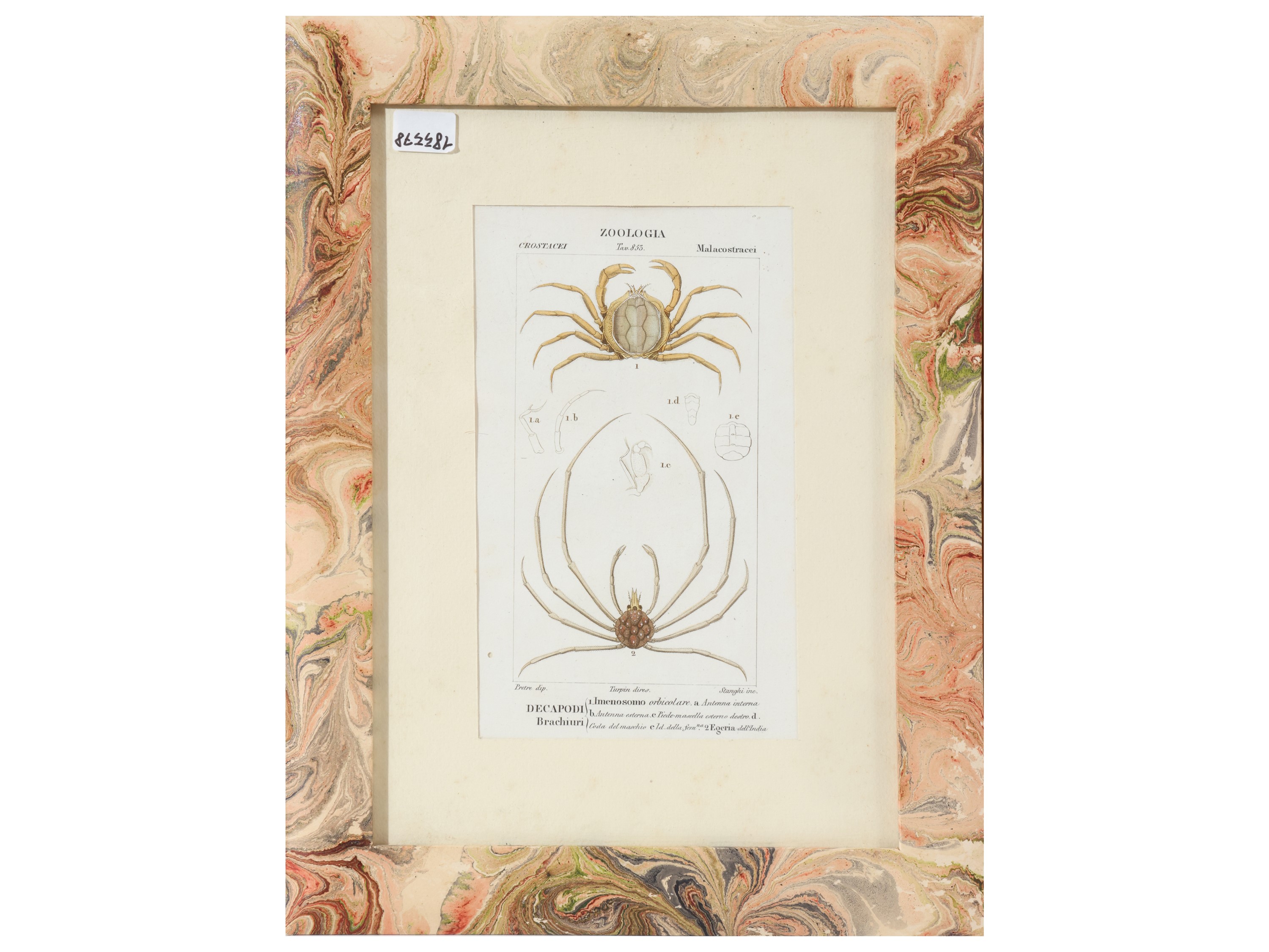 Jean-Gabriel Pretre, Tavole zoologiche da Dizionario di scienze naturali, Firenze 1837