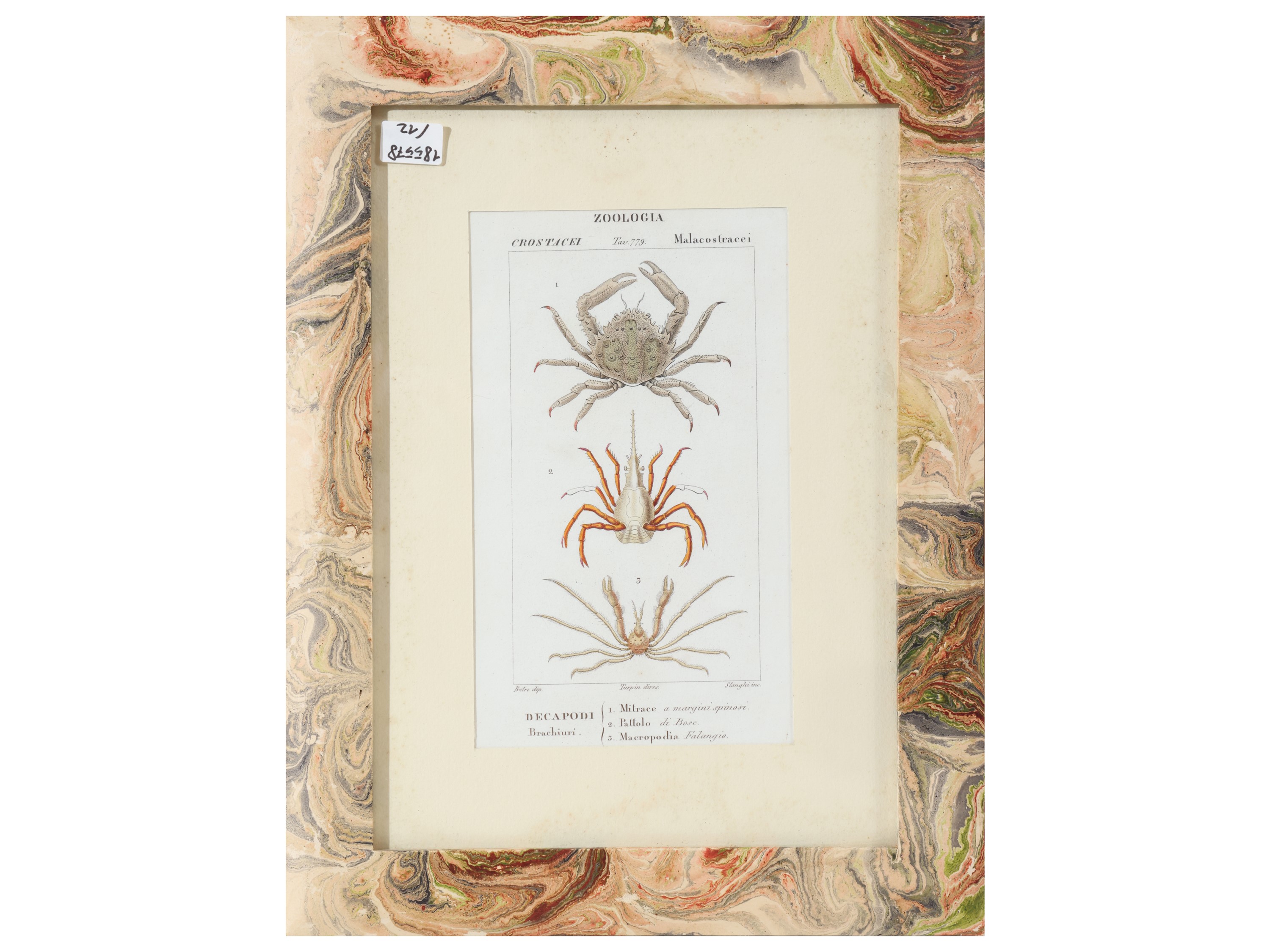 Jean-Gabriel Pretre, Tavole zoologiche da Dizionario di scienze naturali, Firenze 1837