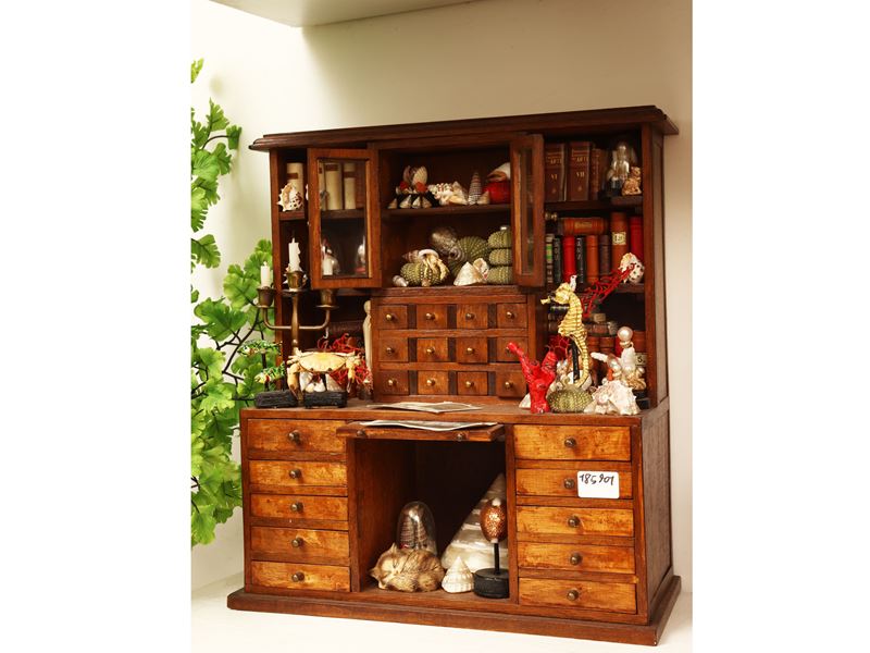 Libreria in miniatura