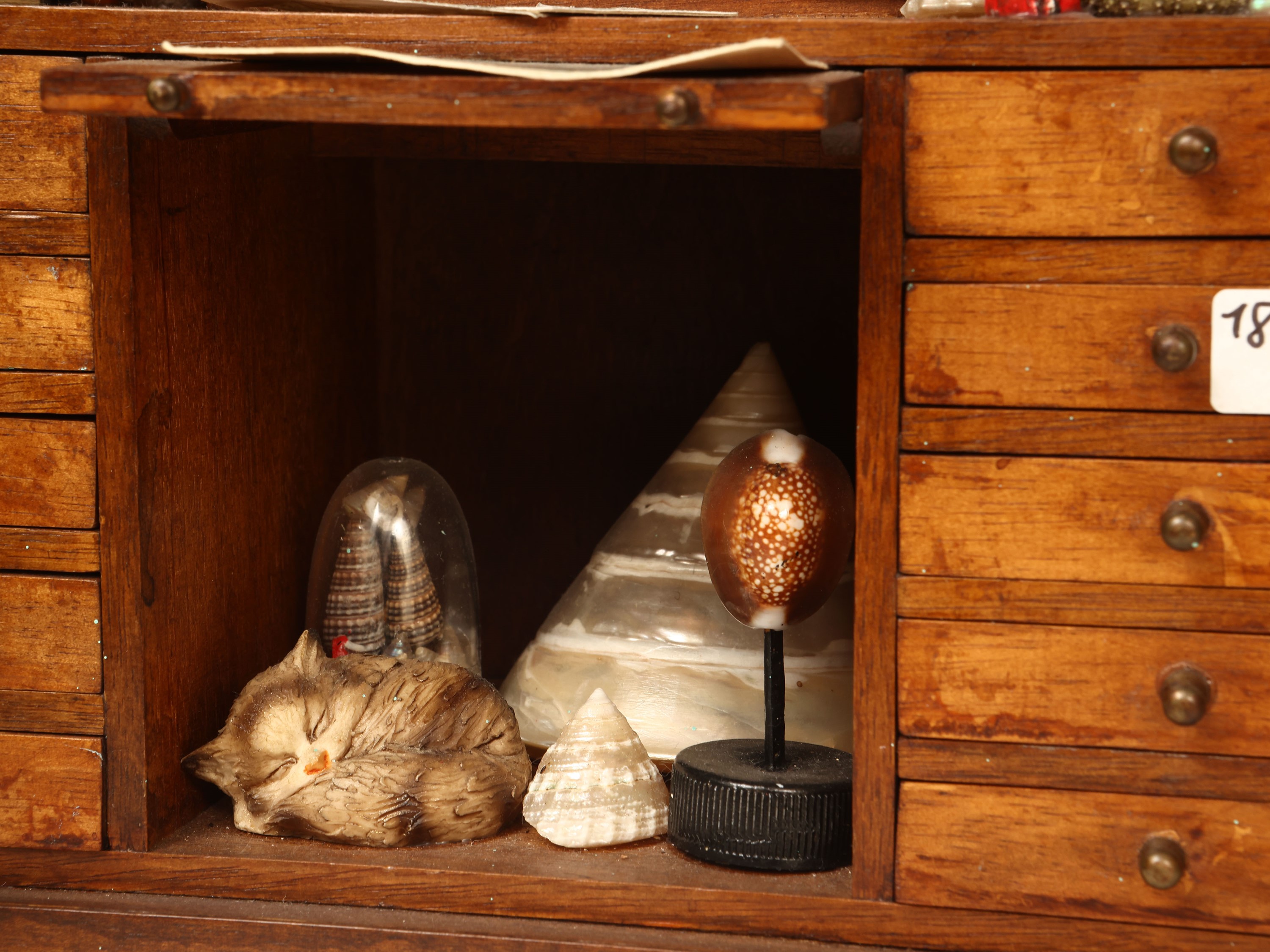 Libreria in miniatura