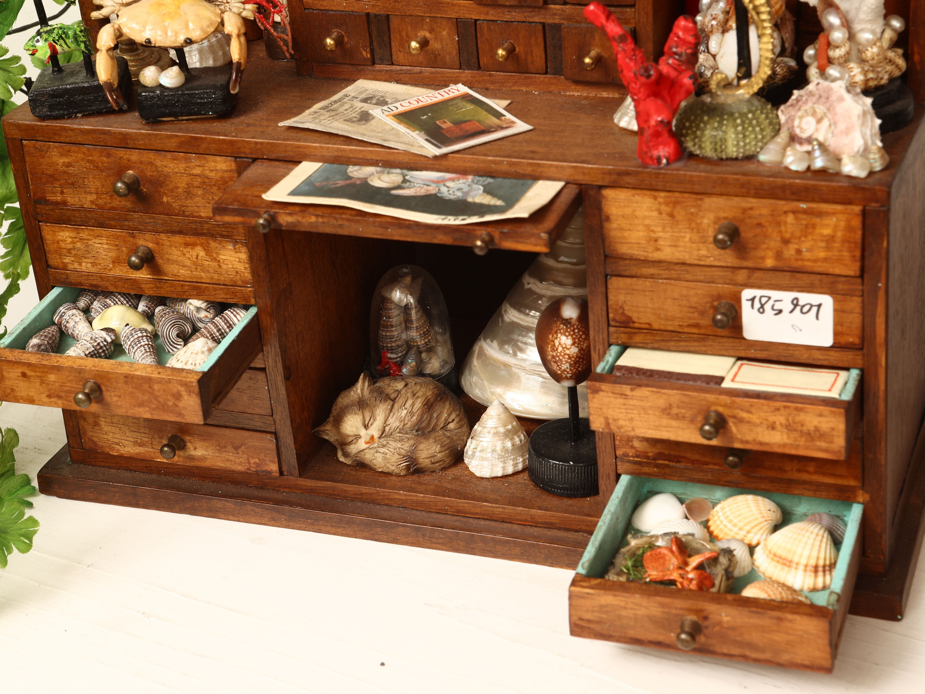 Libreria in miniatura