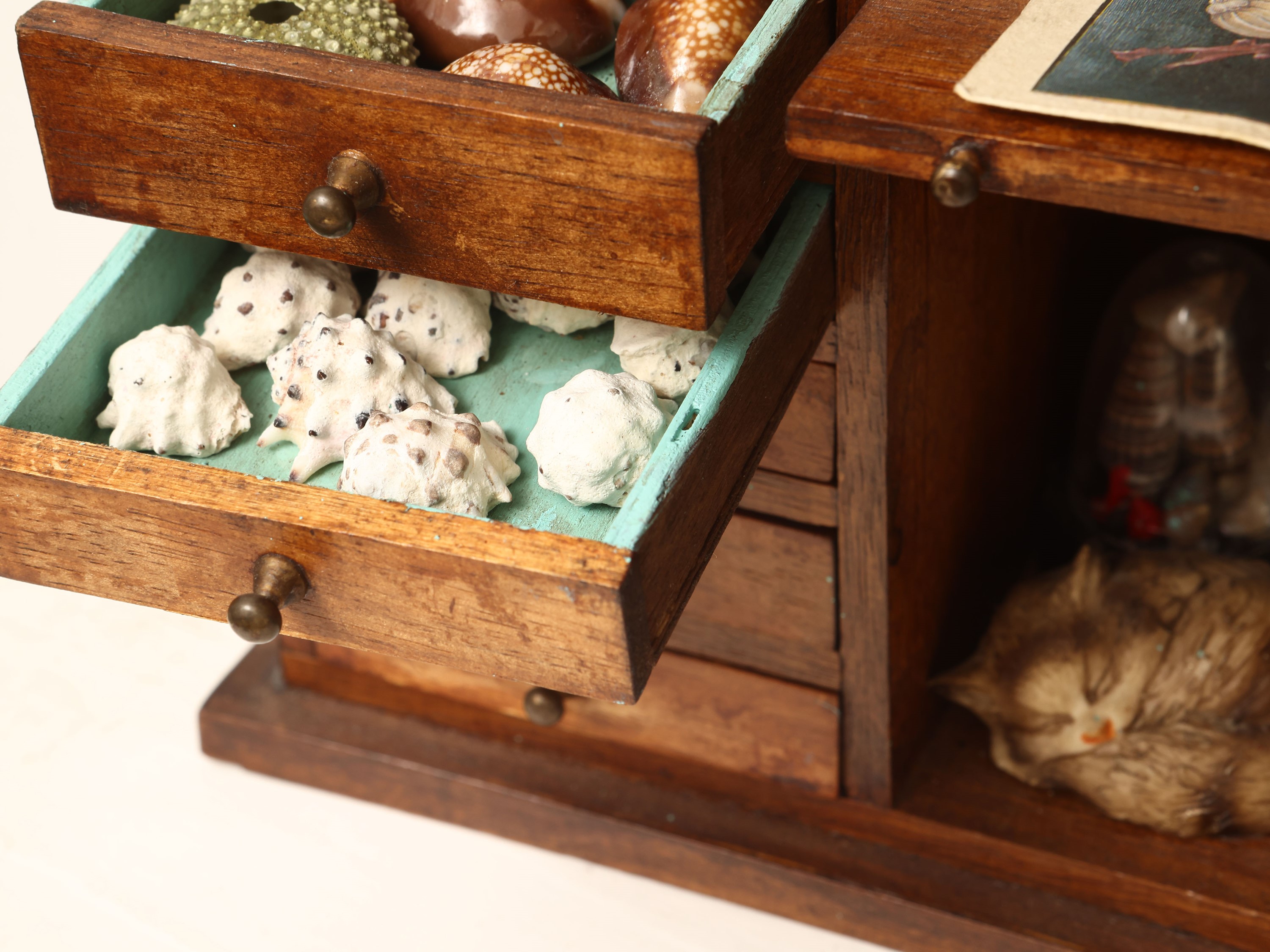 Libreria in miniatura