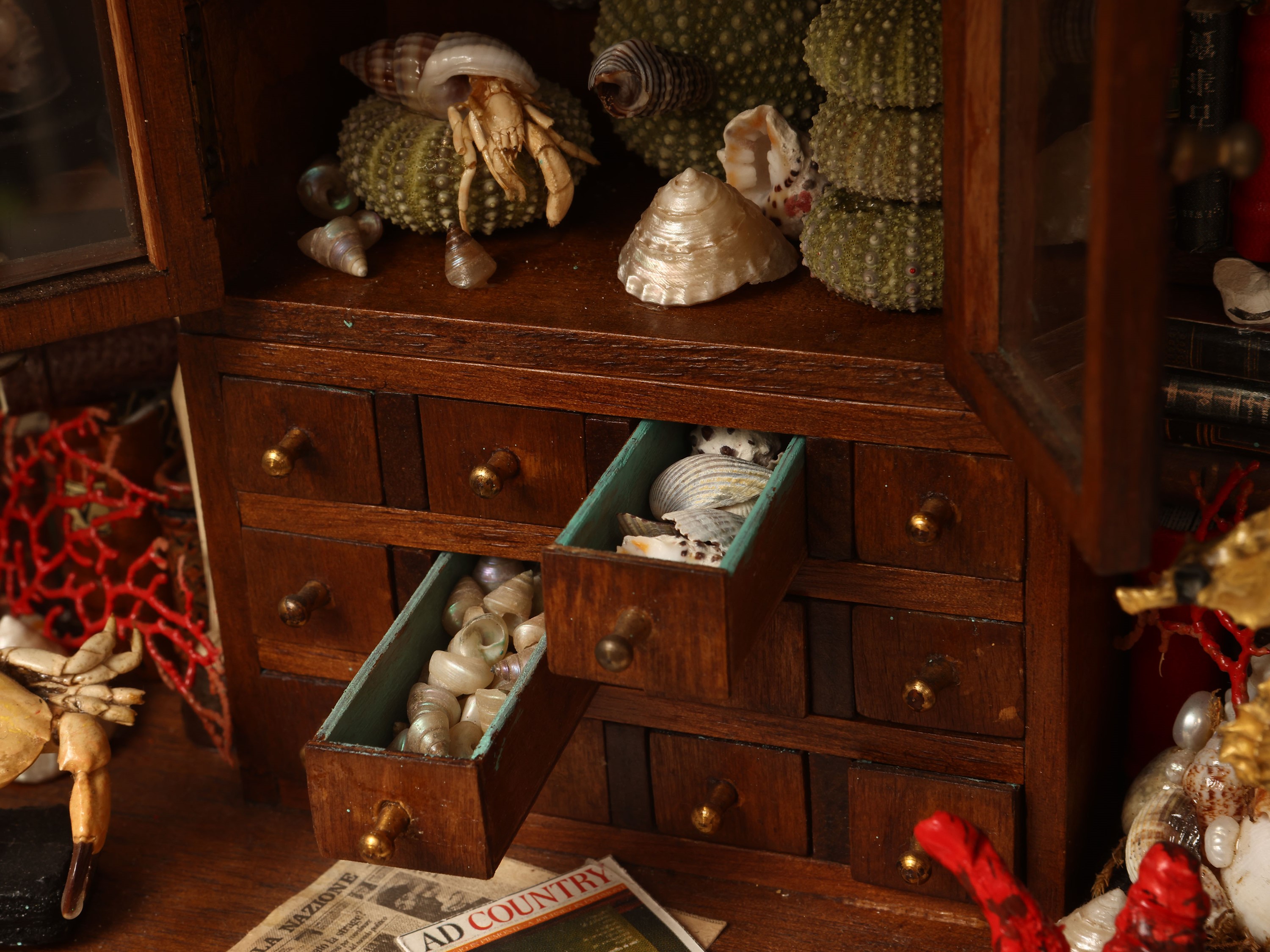 Libreria in miniatura