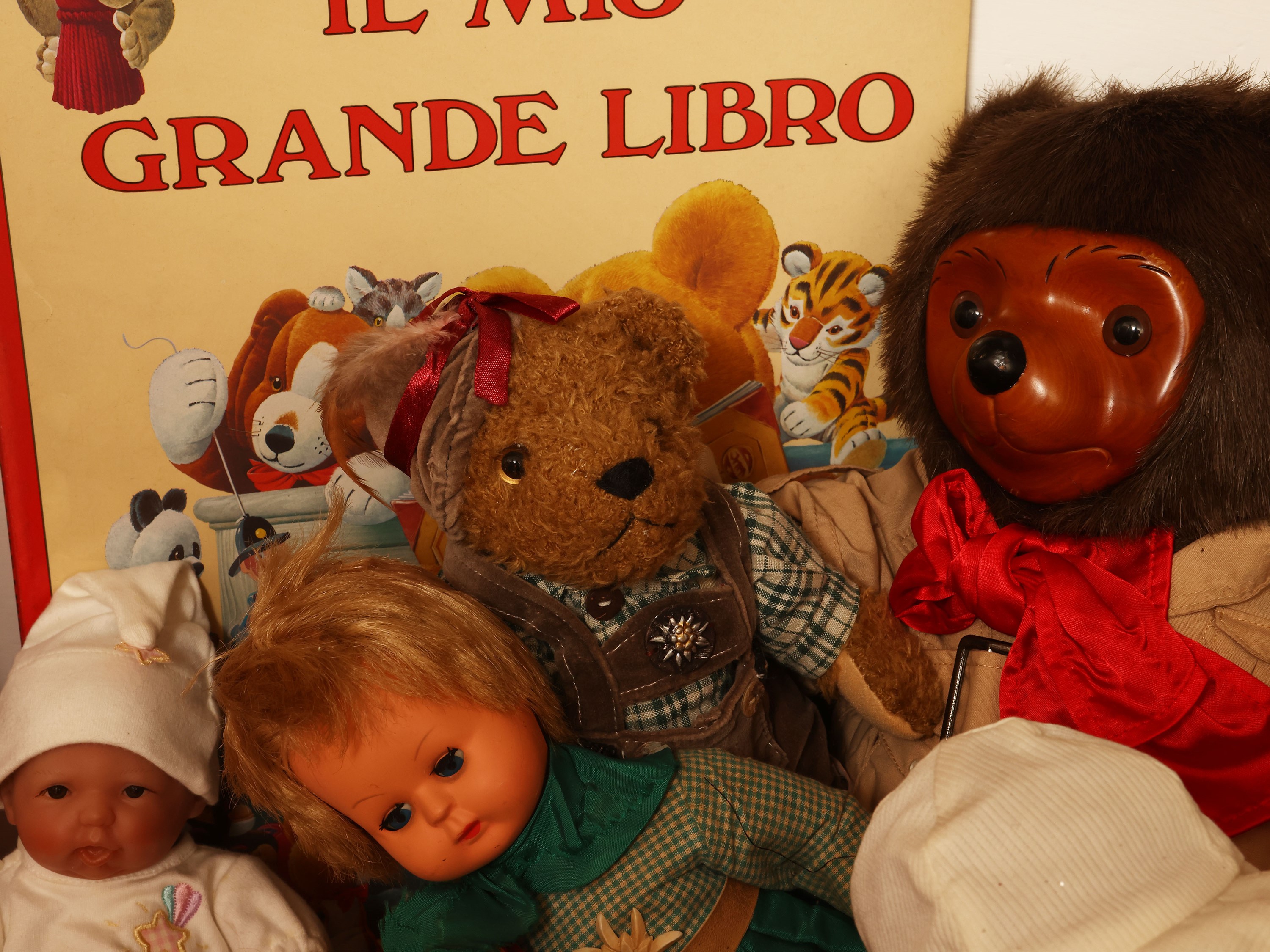 Peluche e balocchi, inclusi un libro e una bambola da collezione