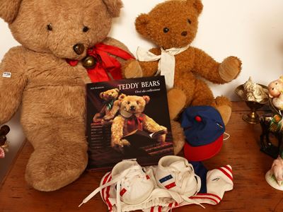 Due orsacchiotti in peluche con accessori e libro abbinati