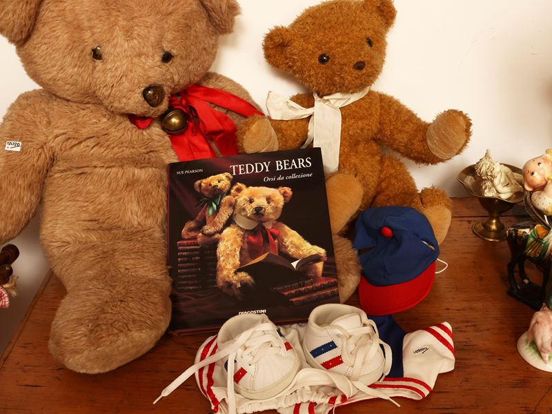 Due orsacchiotti in peluche con accessori e libro abbinati
