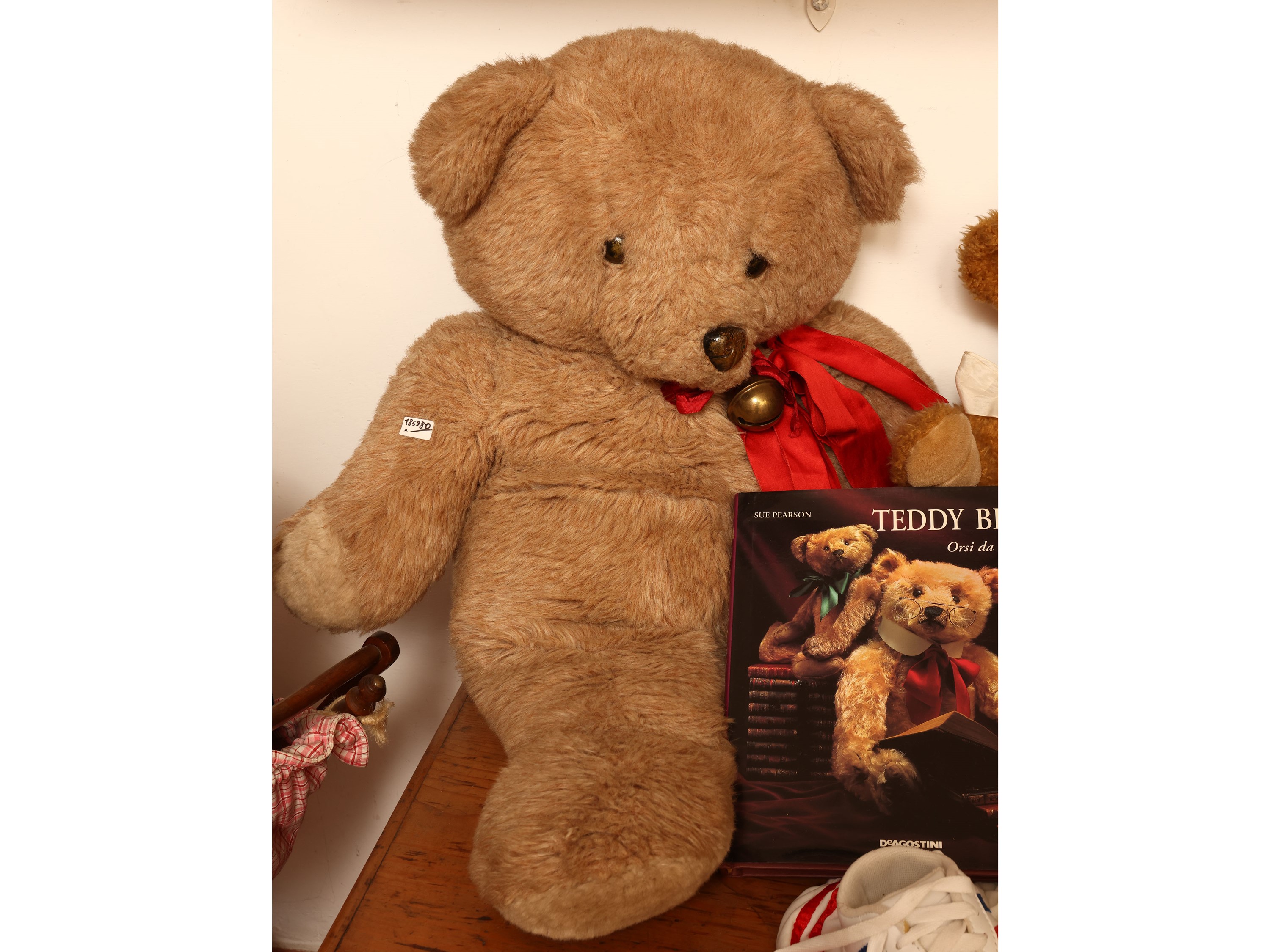 Due orsacchiotti in peluche con accessori e libro abbinati
