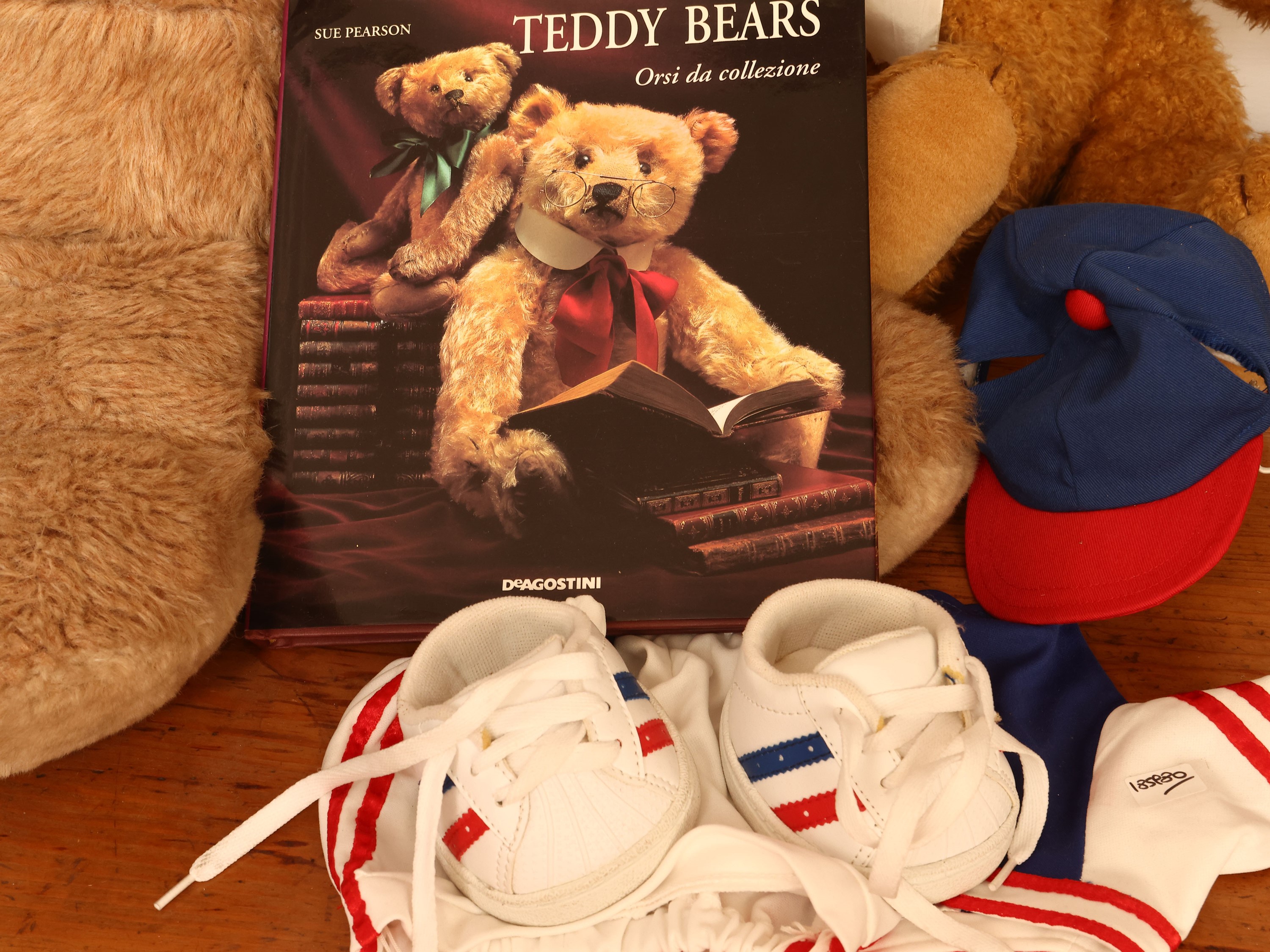 Due orsacchiotti in peluche con accessori e libro abbinati