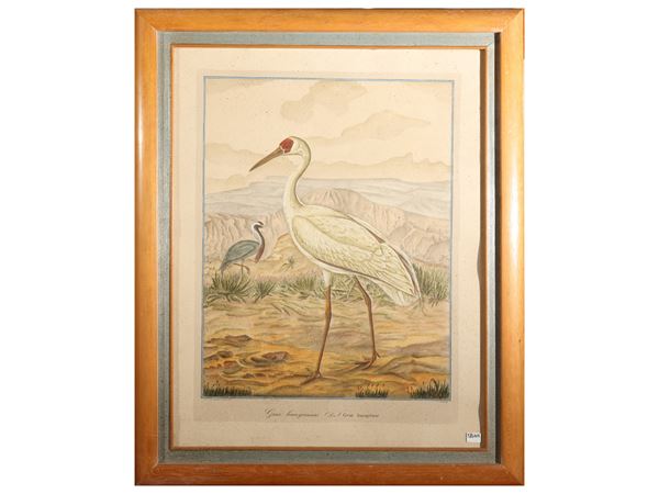 Grus leucogeranus  (fine XIX secolo)  - Asta Déballage. Occasioni in asta - Maison Bibelot - Casa d'Aste Firenze - Milano