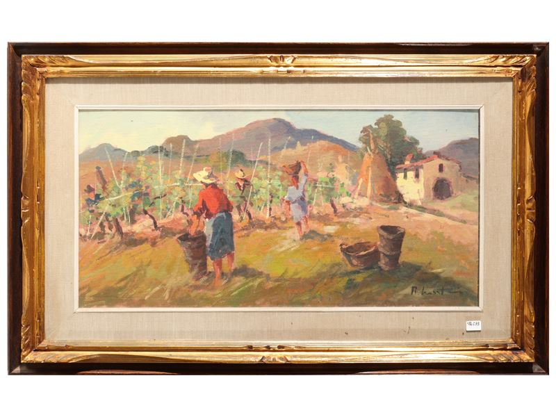 Maremma vendemmia 1965
