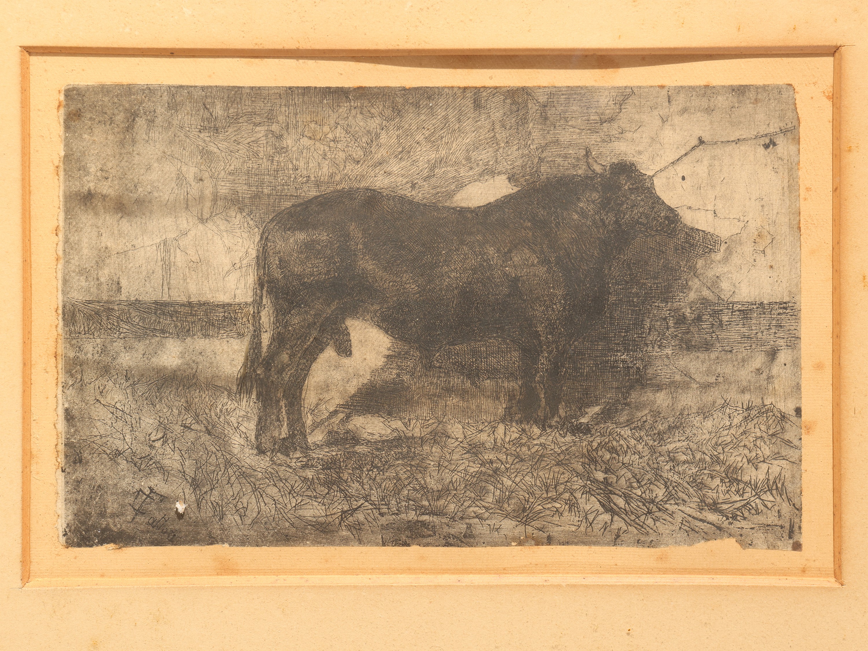 Giovanni Fattori - Il toro