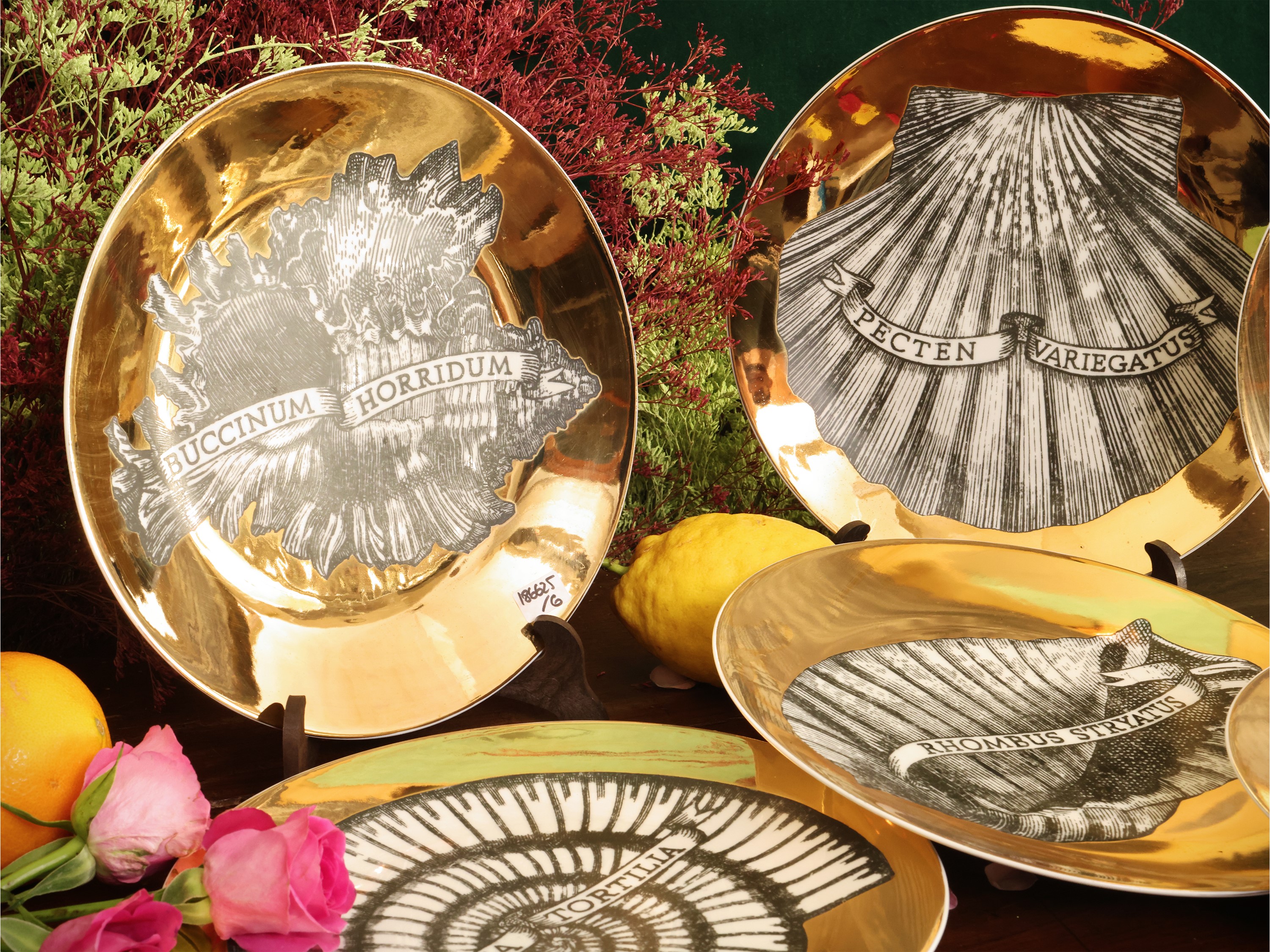 Piero Fornasetti - Serie di sei piatti in porcellana “Conchyliorum” (1950-1955), decorazione in m...