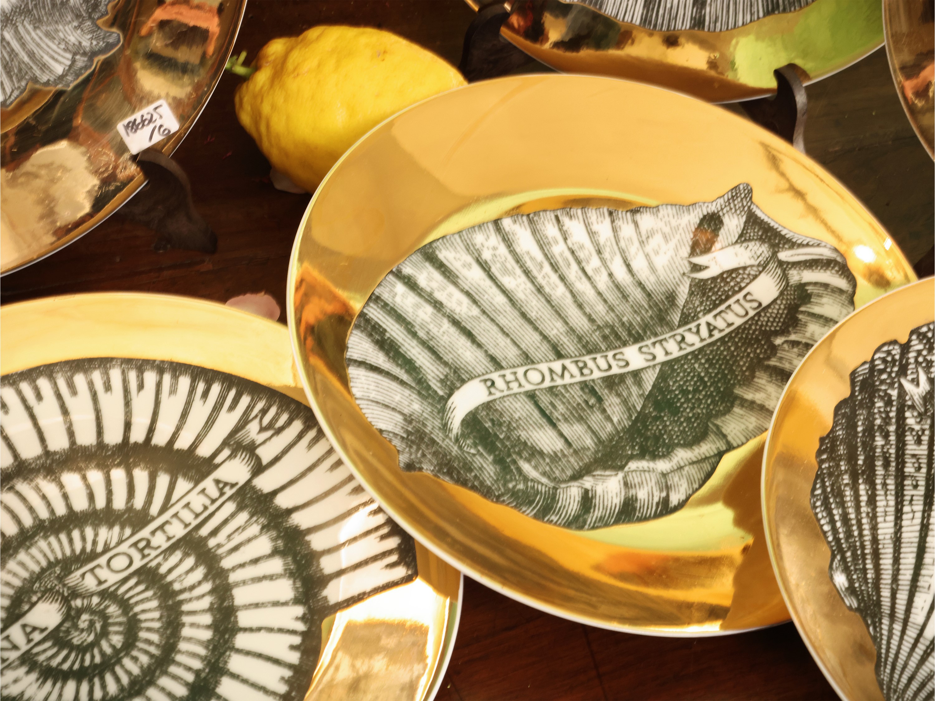 Piero Fornasetti - Serie di sei piatti in porcellana “Conchyliorum” (1950-1955), decorazione in m...