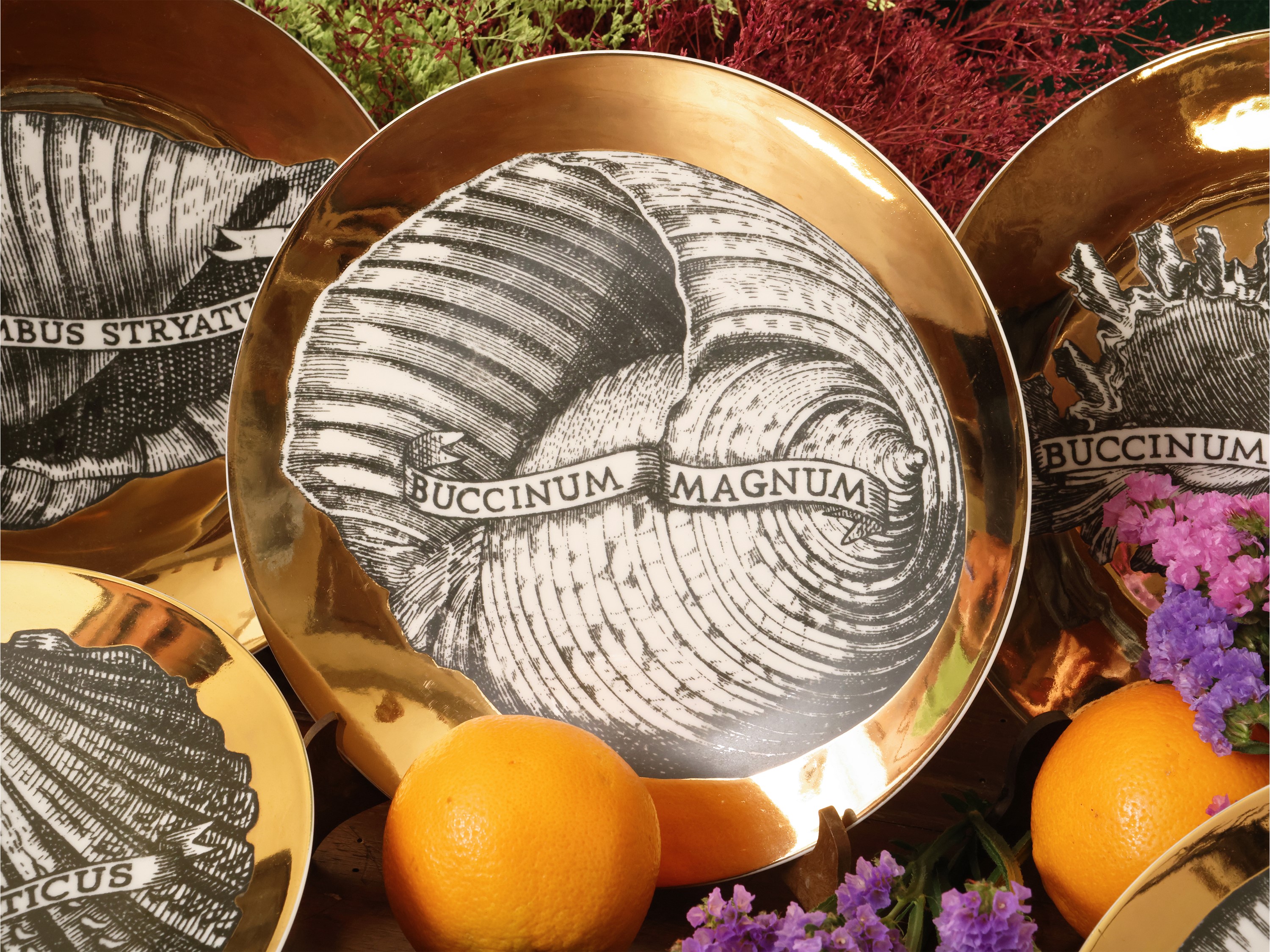 Piero Fornasetti - Serie di sei piatti in porcellana “Conchyliorum” (1950-1955)