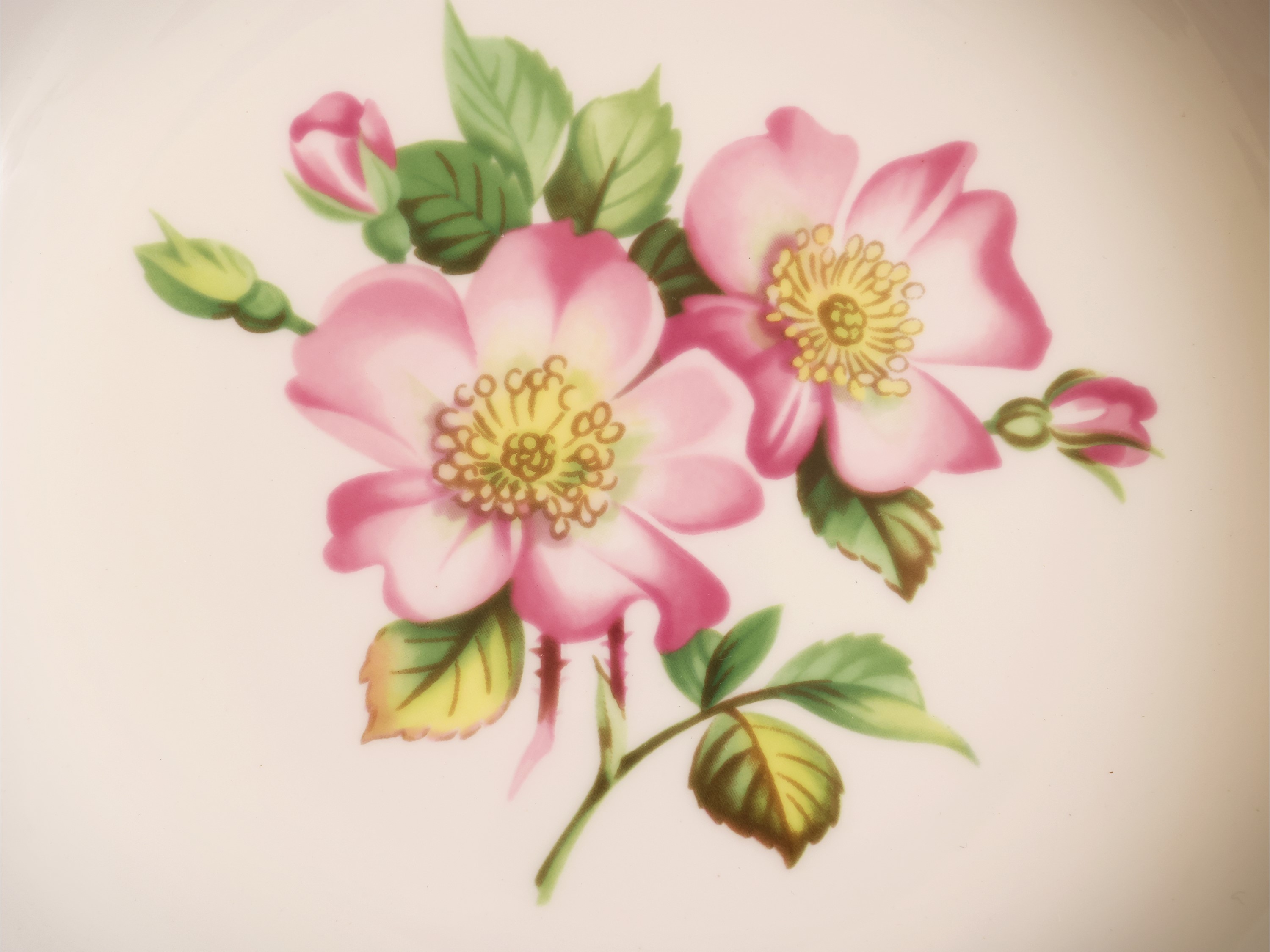 Servizio di Piatti in Porcellana, Decoro Sandringham, Royal Worcester