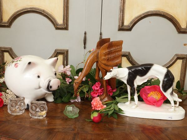 Animal curiosities