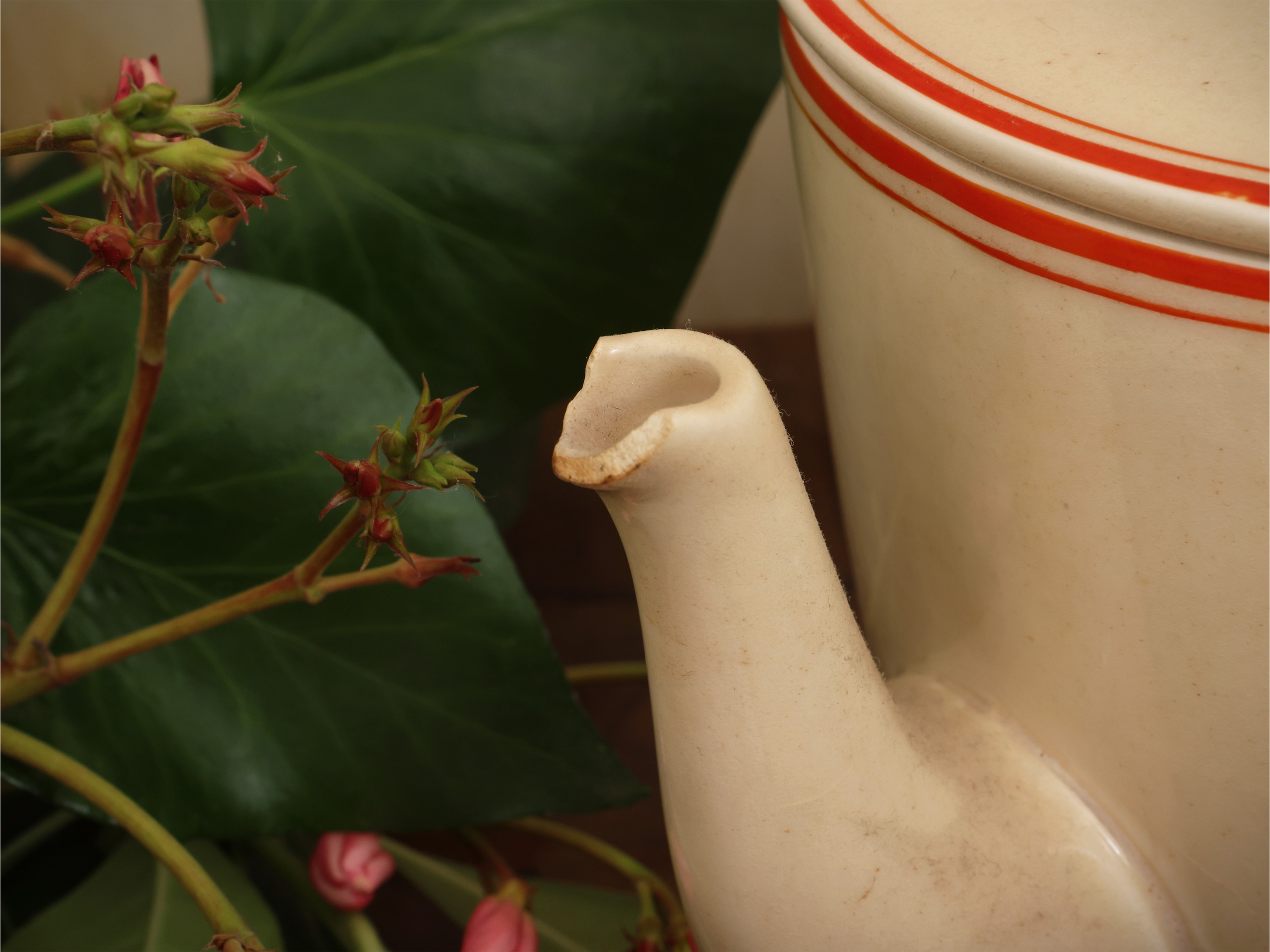 Gio Ponti per Richard Ginori San Cristoforo, Accessori in ceramica smaltata dipinti con motivi fl...