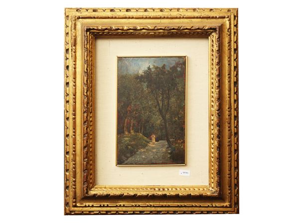Sentiero nel bosco con figura