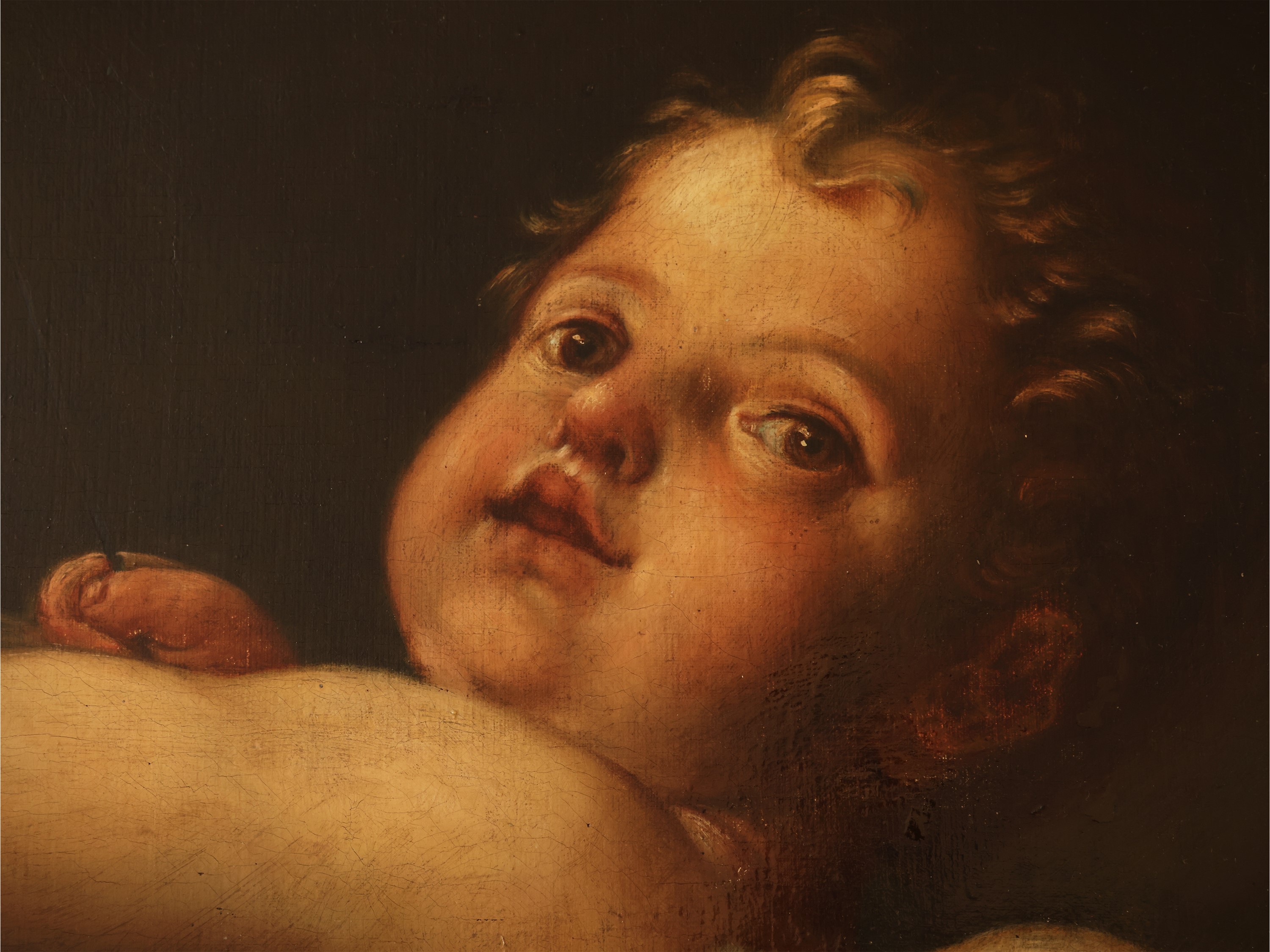 Da Marcantonio Franceschini - Franceschini, L'Amor vincitore, olio su tela in cornice