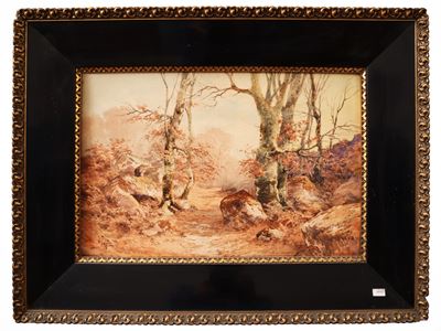 Paesaggio alberato autunnale