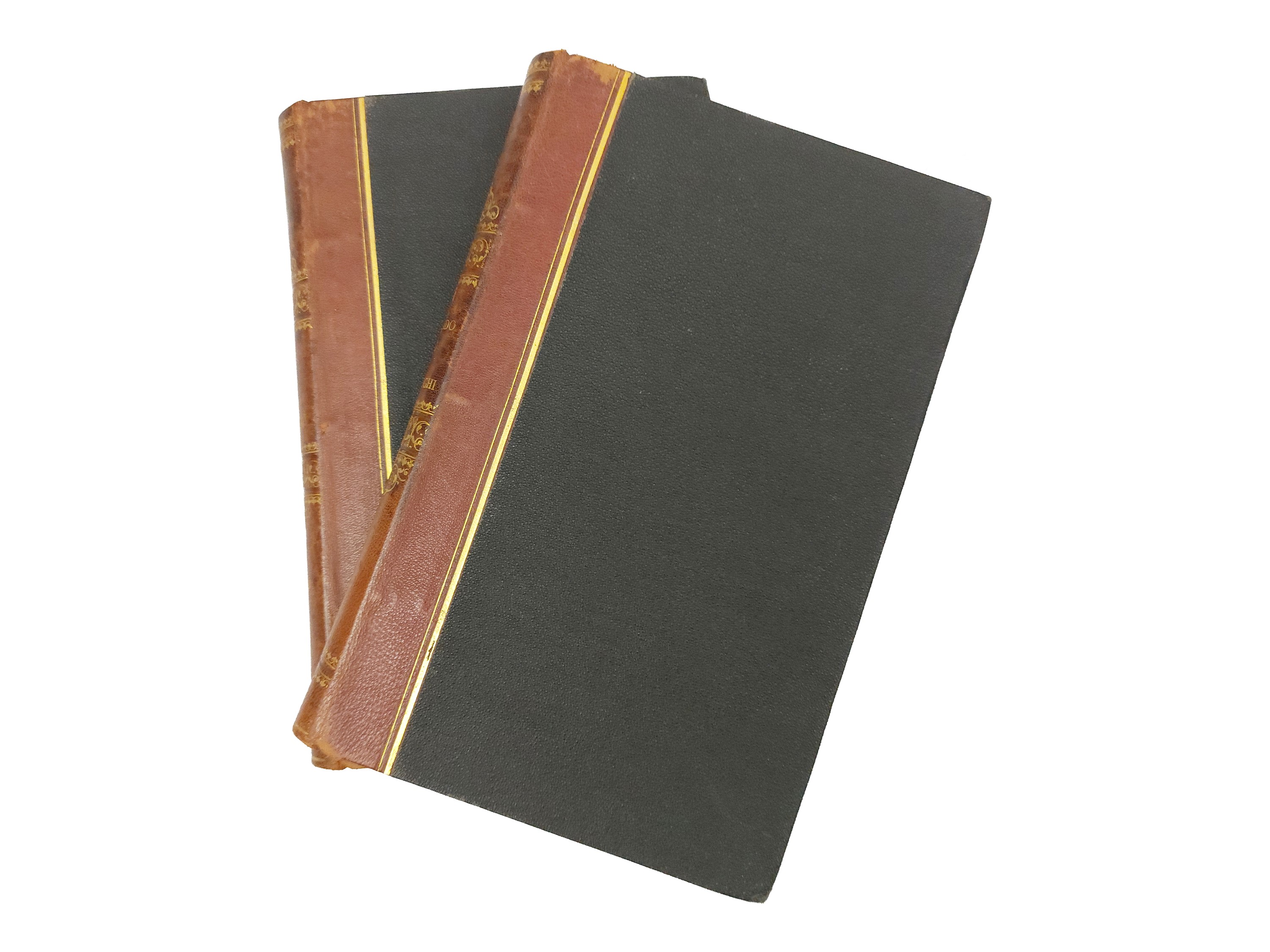 Luigi Rasi - Il libro dei monologhi. Il secondo libro dei monologhi (2 volumi)