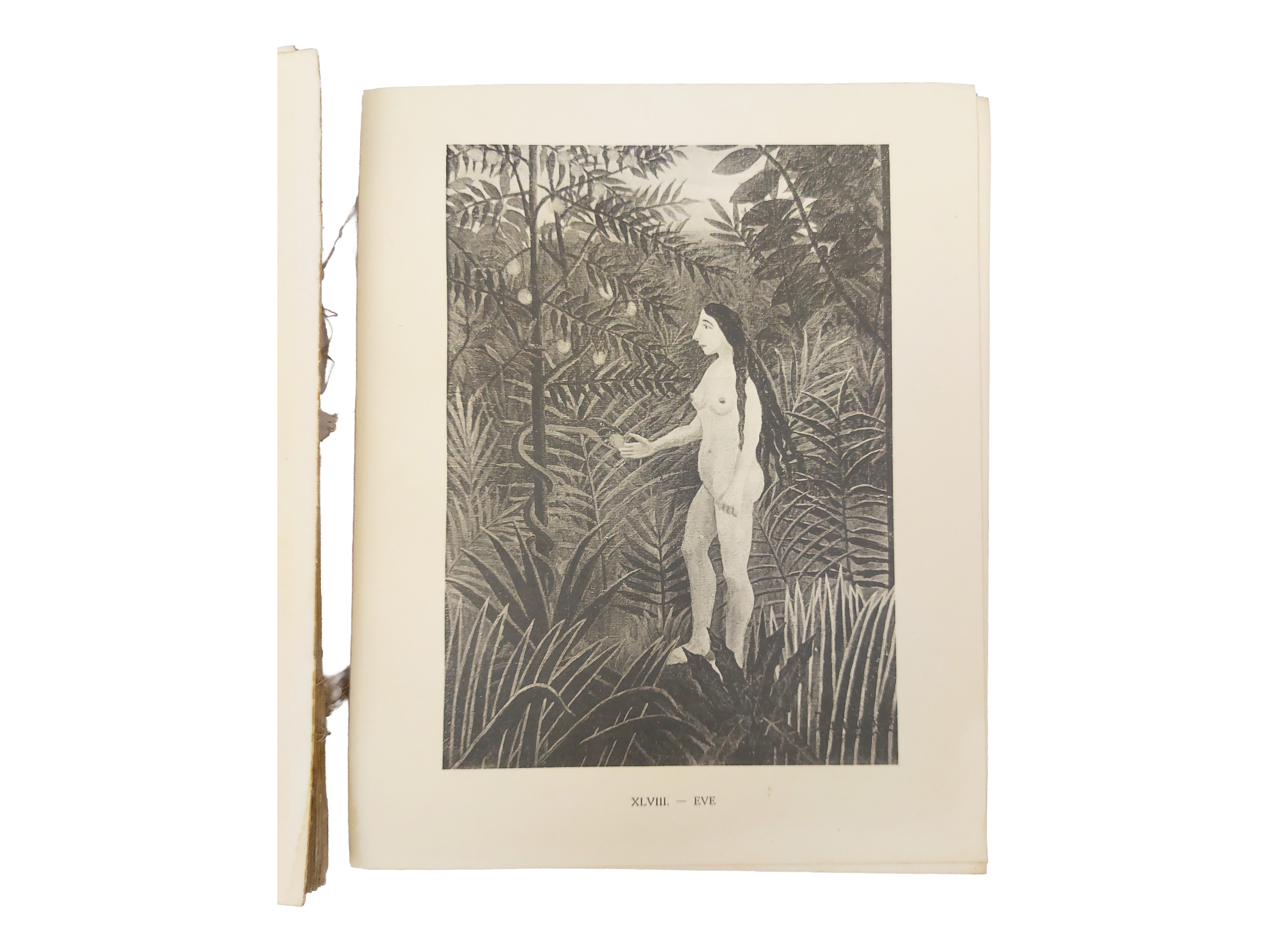 Adolphe Basler, Henri Rousseau. Sa vie, son œuvre: riproduzioni e fotografie, 1927