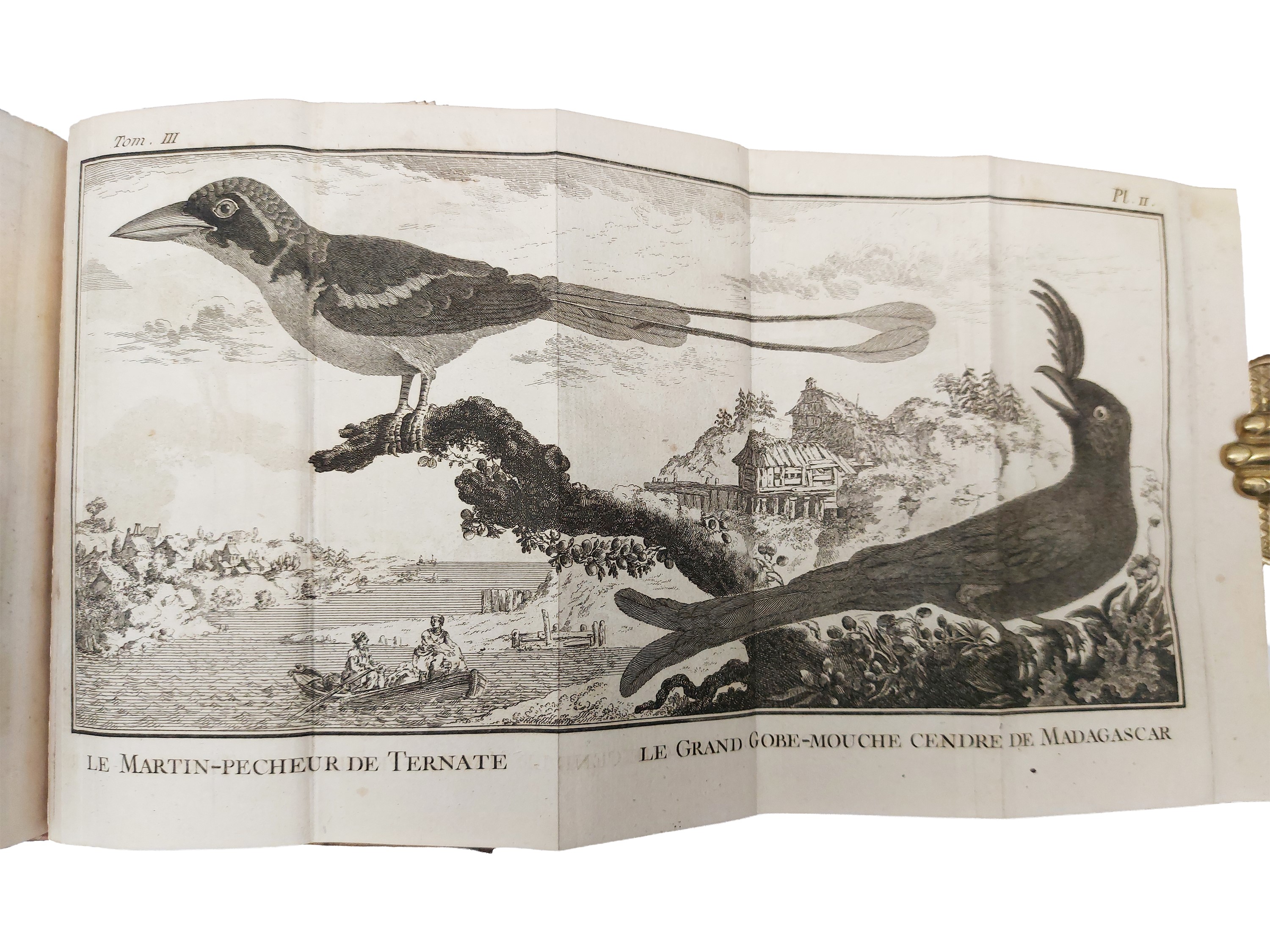 Cours D'histoire Naturelle Ou Tableau De la Nature
