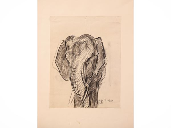 Elephants