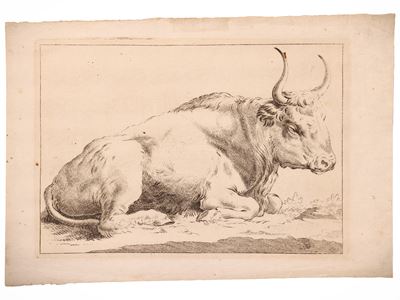 Salomon Werner, Toro sdraiato (incisione da disegno di Francesco Londonio)