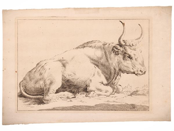 Toro sdraiato