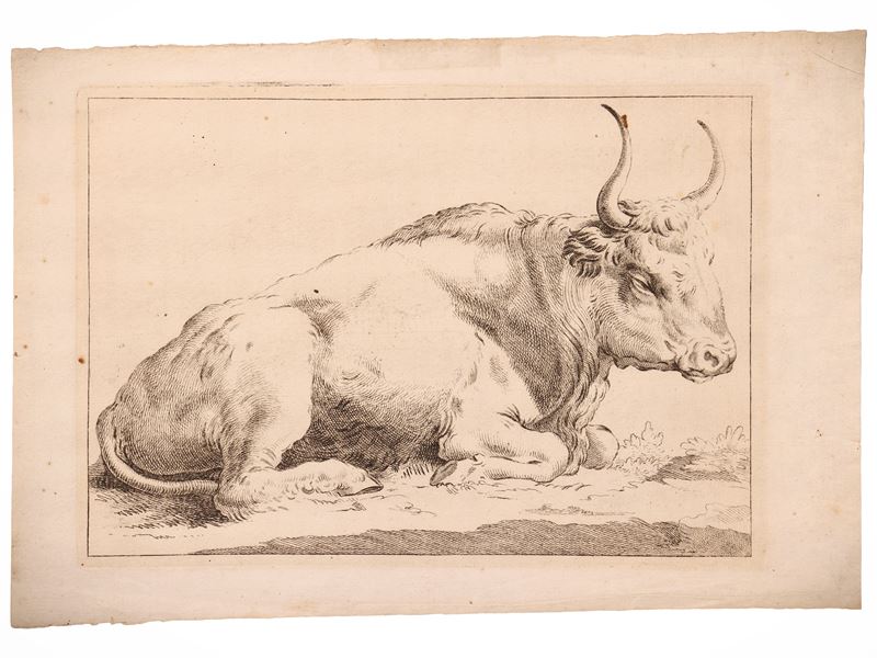 Salomon Werner, Toro sdraiato (incisione da disegno di Francesco Londonio)