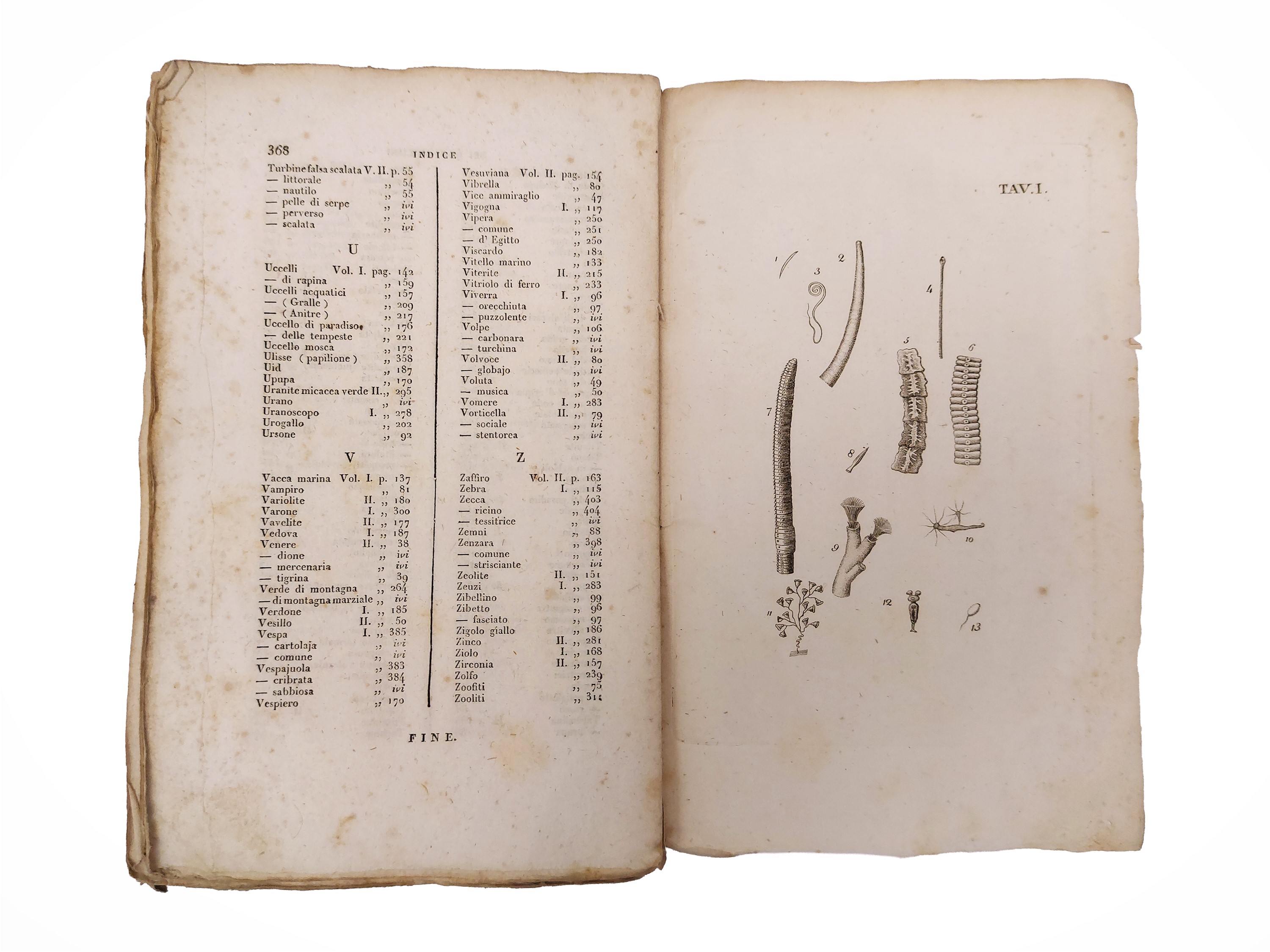Johann Friedrich Blumenbach - Manuale di storia naturale