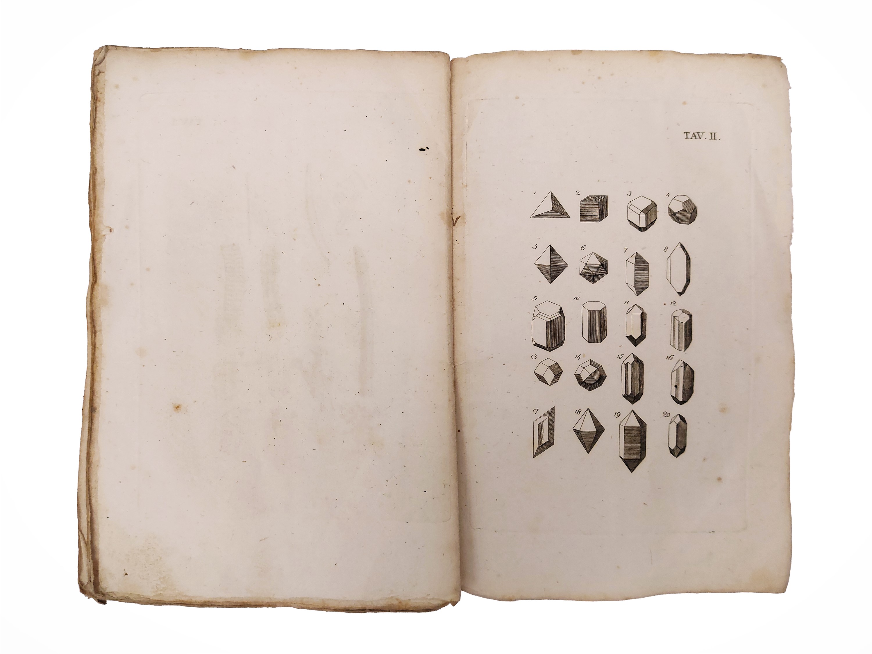 Johann Friedrich Blumenbach - Manuale di storia naturale