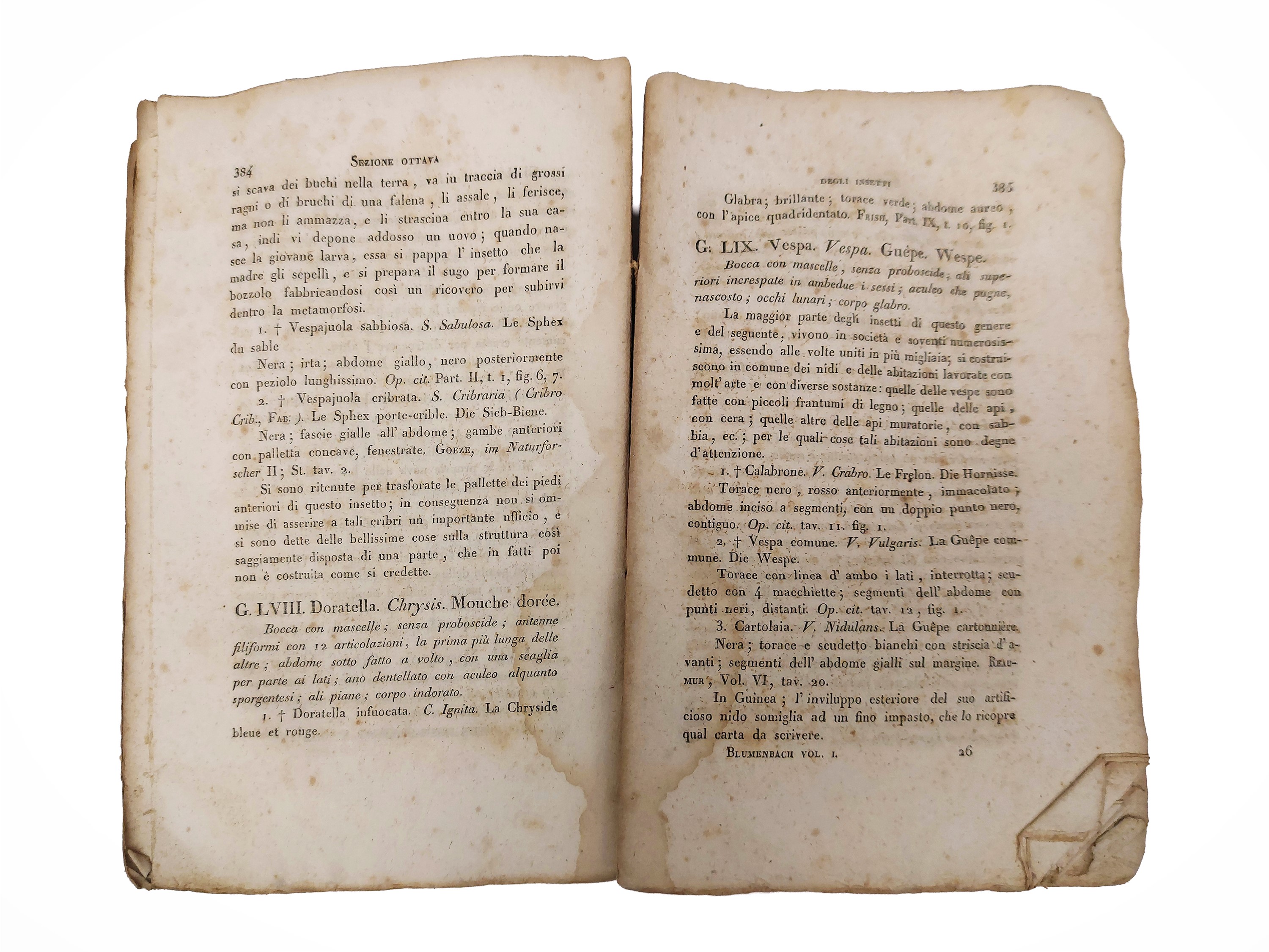 Johann Friedrich Blumenbach - Manuale di storia naturale