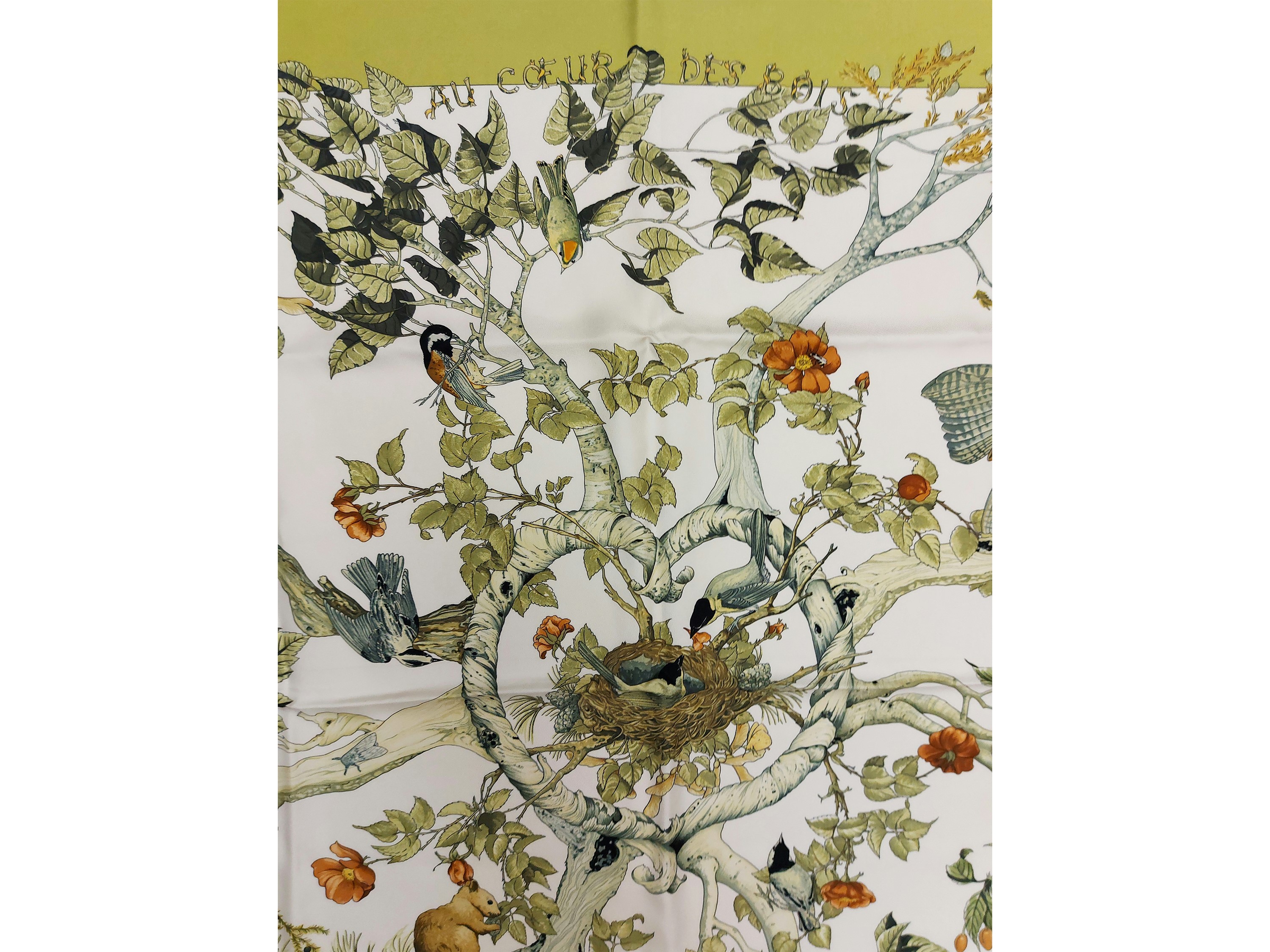 Hermès - Foulard in Seta "au Coeur Des Bois"