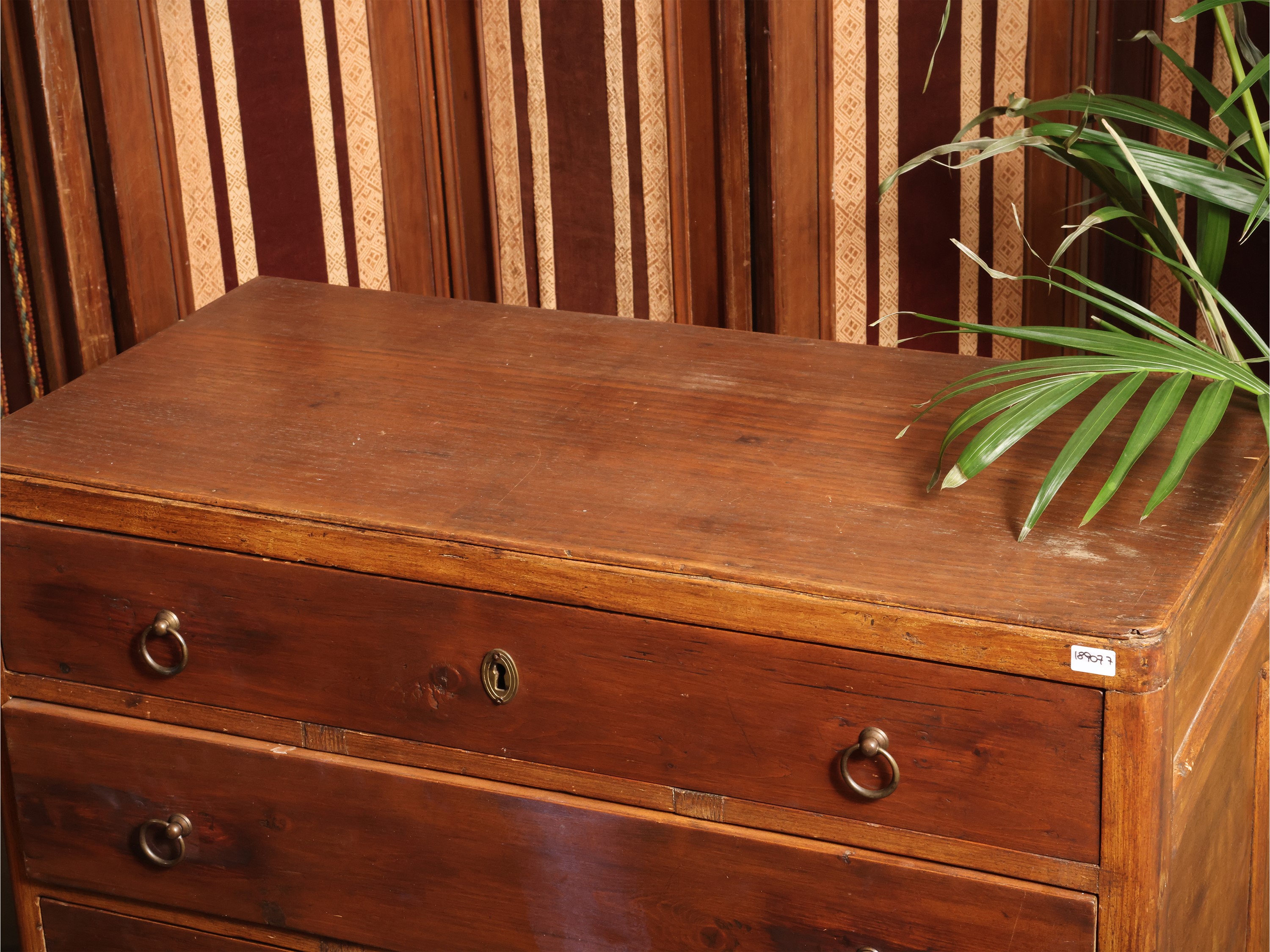 Cassettiera in legno tenero, cinque cassetti