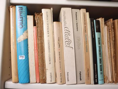 Raccolta di fumetti e libri per ragazzi, miscellanea editoriale
