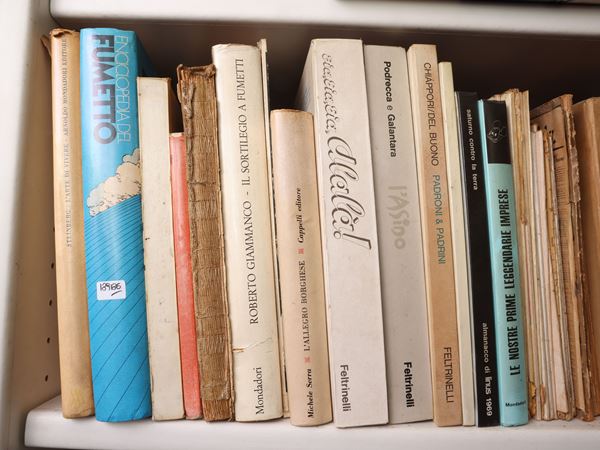 Raccolta di fumetti e libri per ragazzi