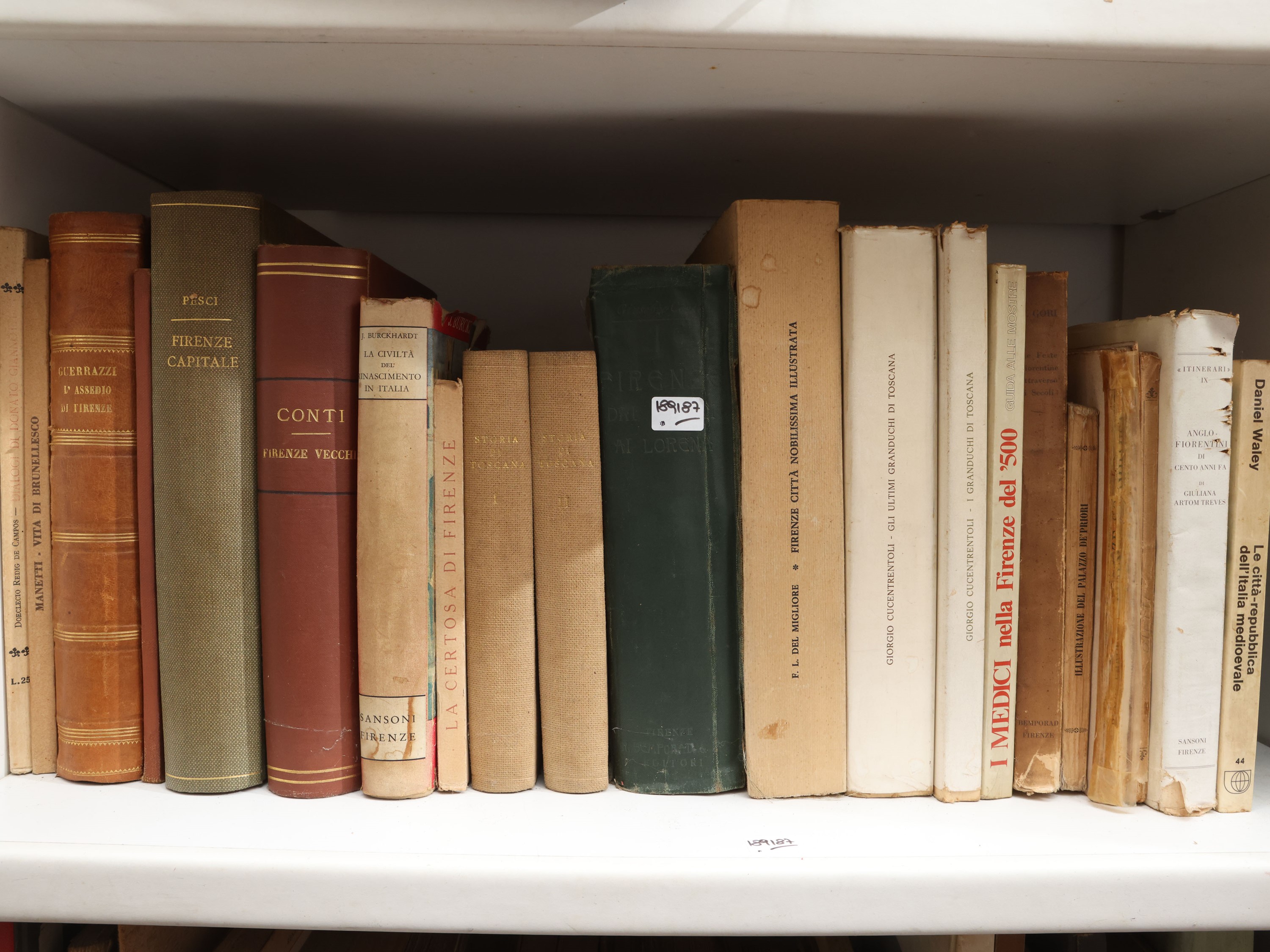 Storia della Toscana e di Firenze, raccolta di libri