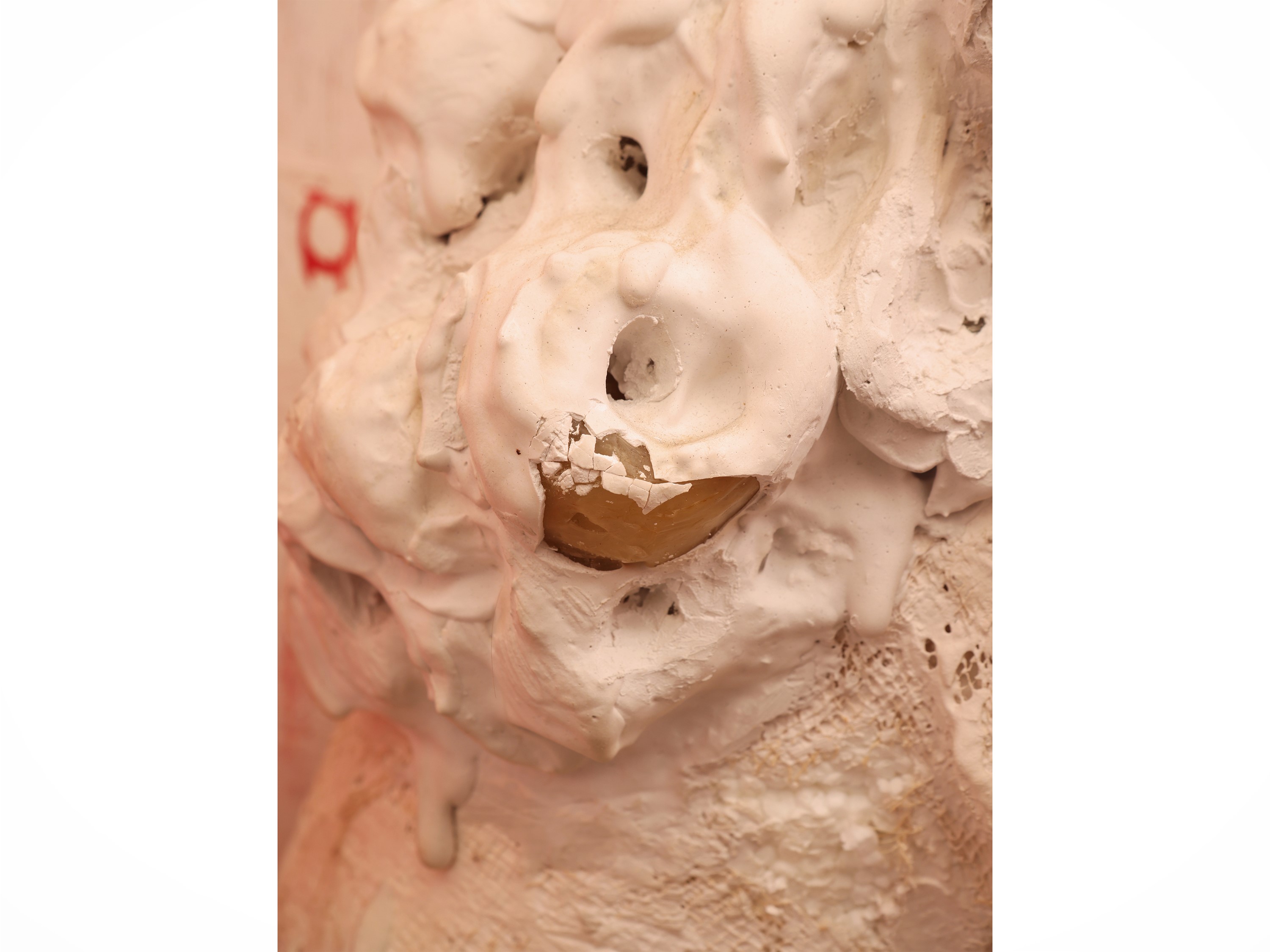 Rachel Thorbly - Busto in gesso su base lignea