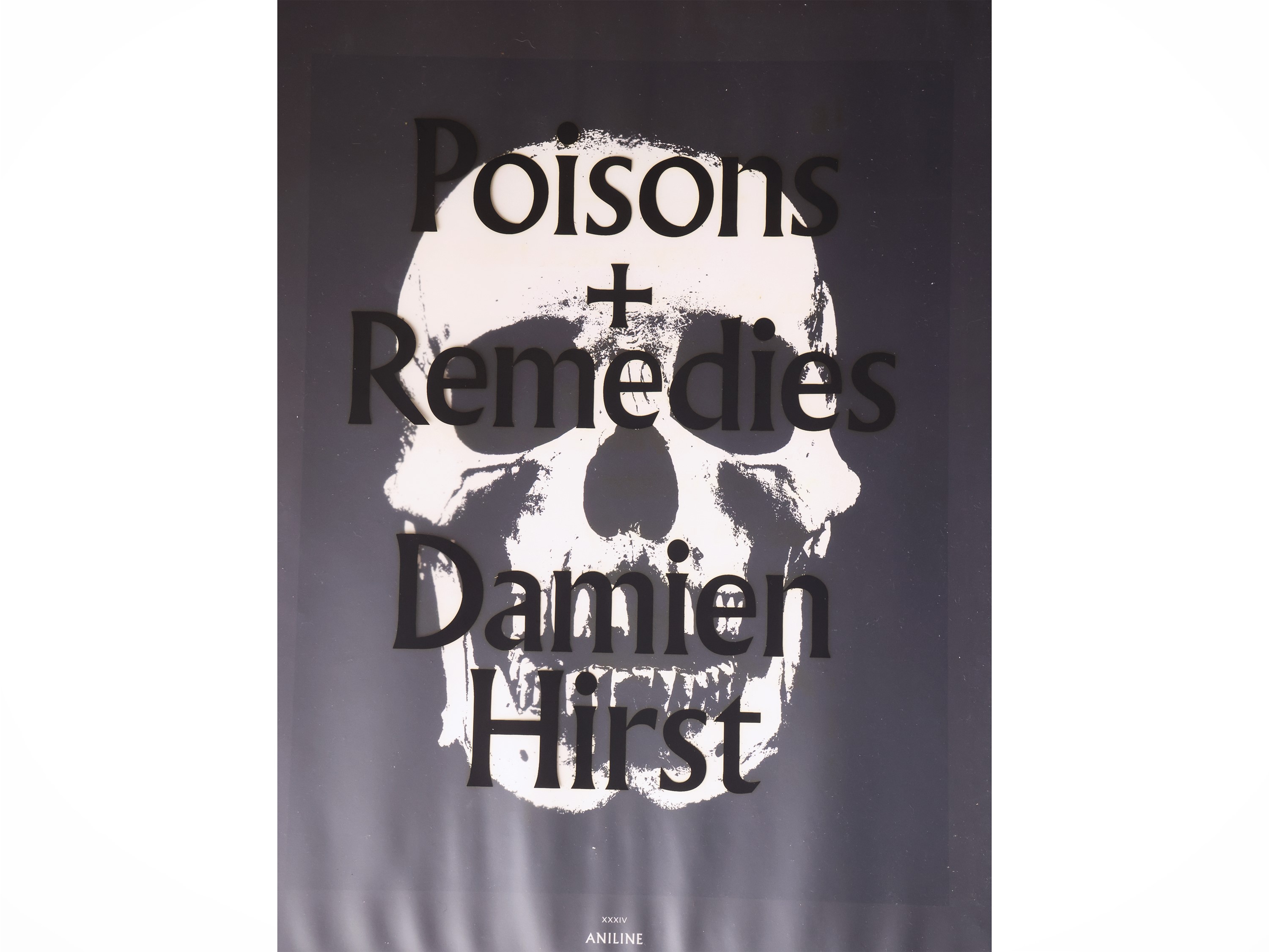 Damien Hirst, Poisons. Remedies. Due volumi, pubblicazione 2010