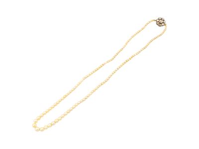 Collana di perle coltivate bianche in gradazione, fermezza in oro giallo 14 kt, elementi in argen...