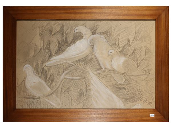 Piccioni di casa