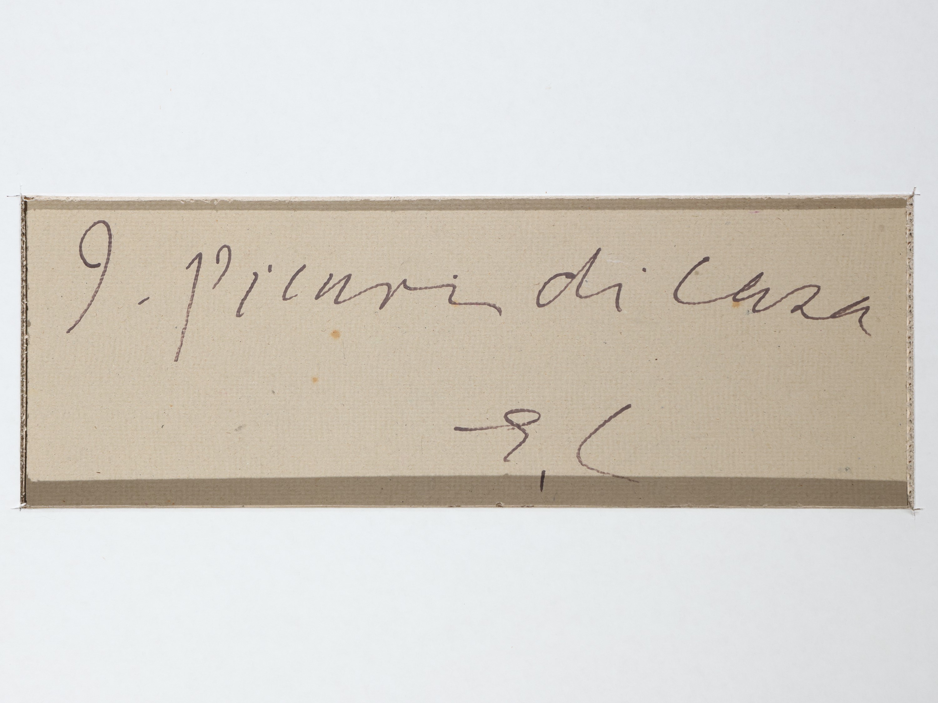Elisabeth Chaplin - Piccioni di casa