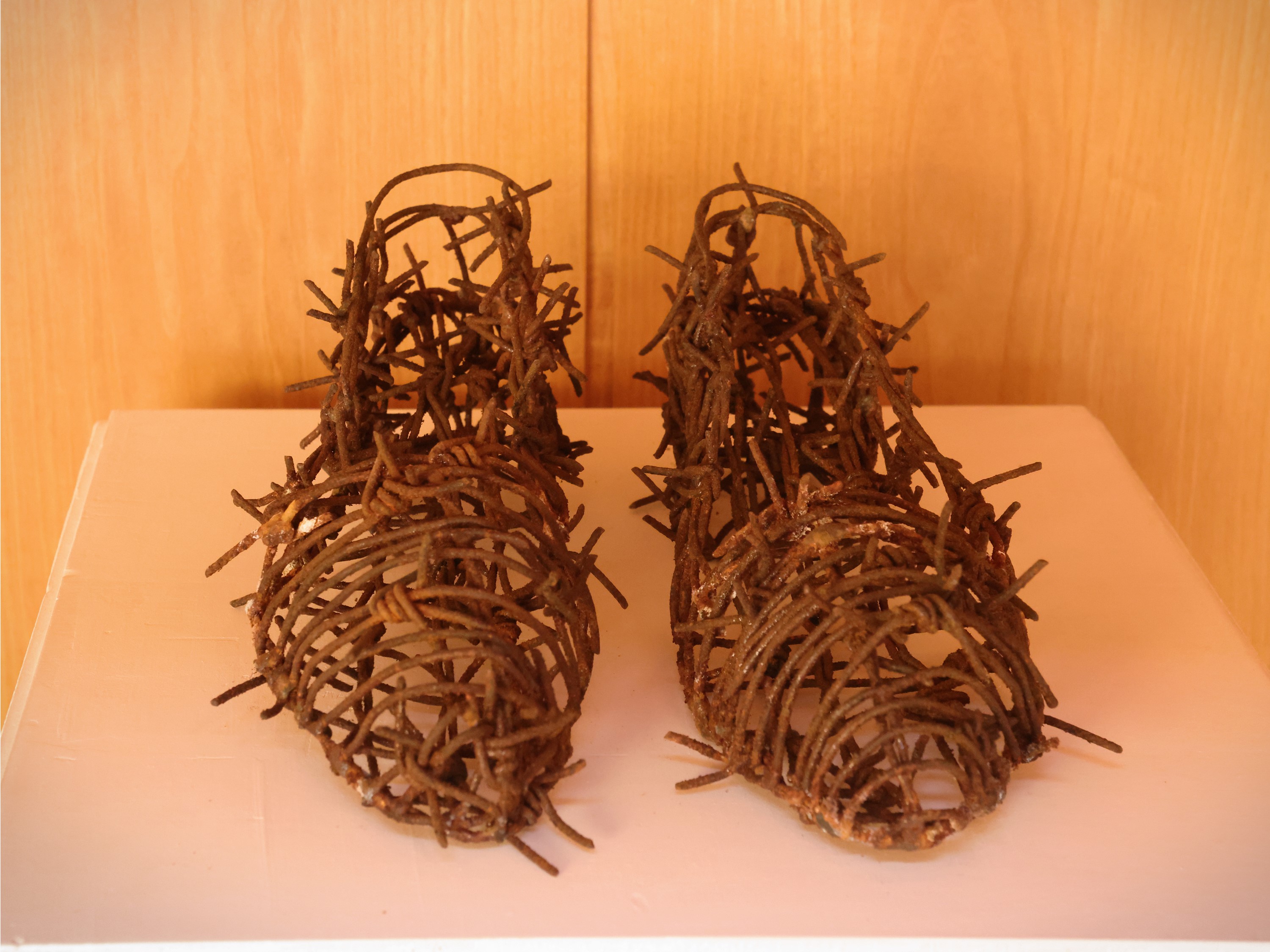 Graziano Spinosi - Patocche, scultura in filo spinato entro teca in plexiglass