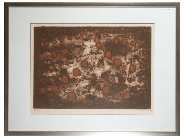 Dalmatian Lands 1959