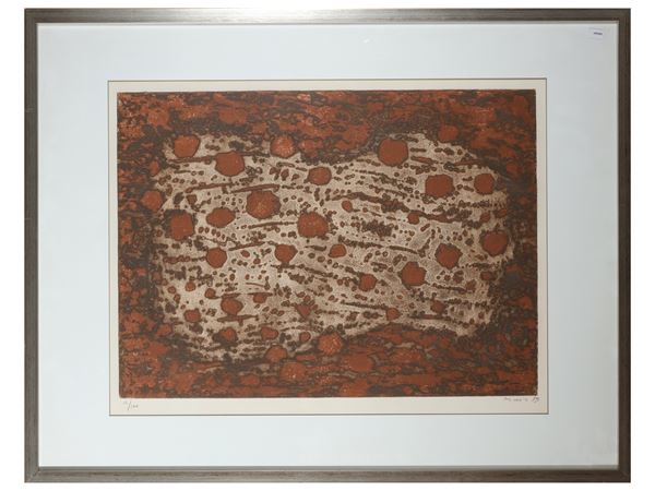 Dalmatian lands 1959