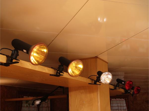 Series of seven disco clamp spotlights