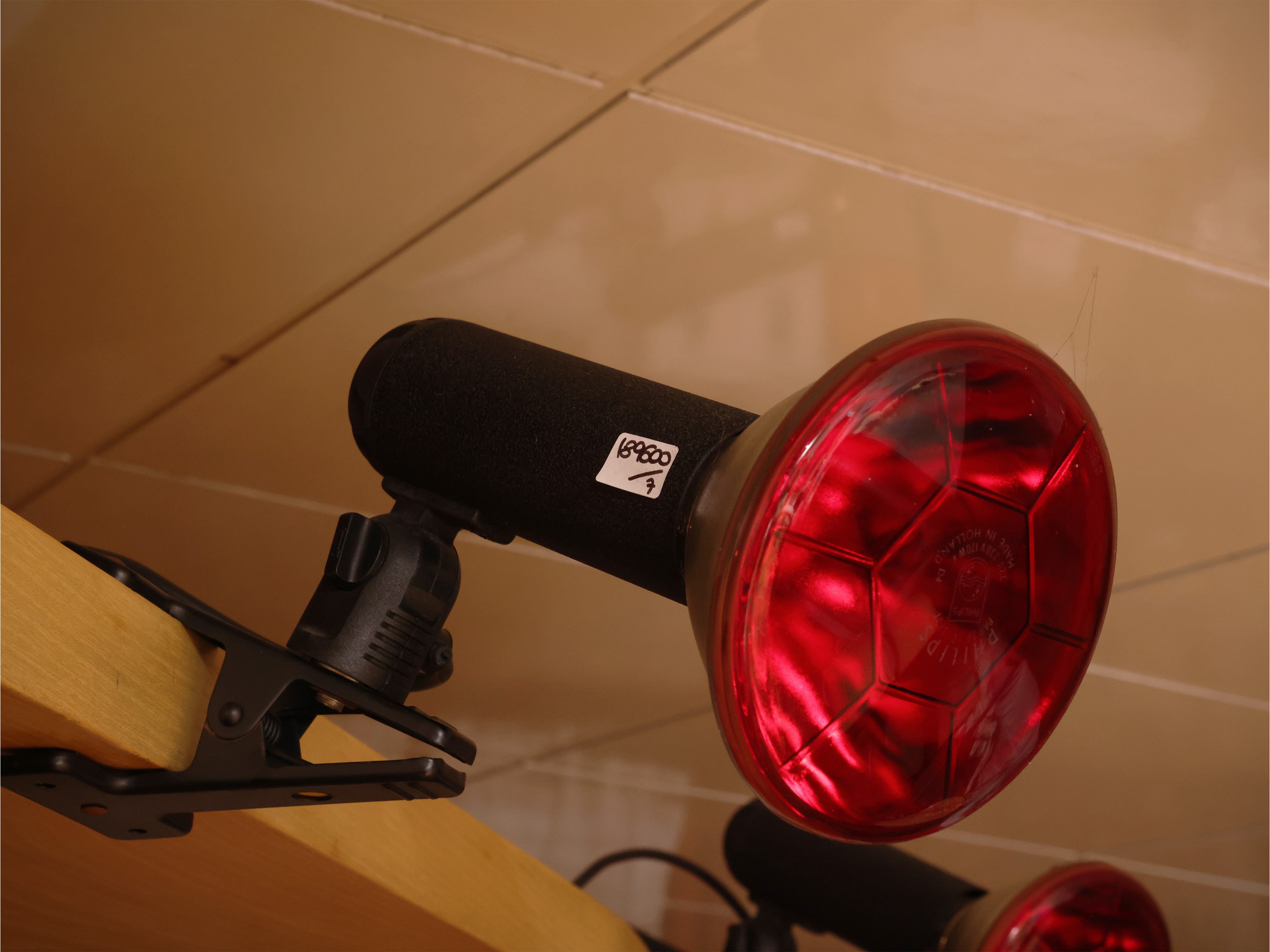 Serie di Sette Faretti a Morsetto da Discoteca