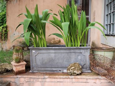 Lotto di vasi da giardino, terracotta, resina e metallo
